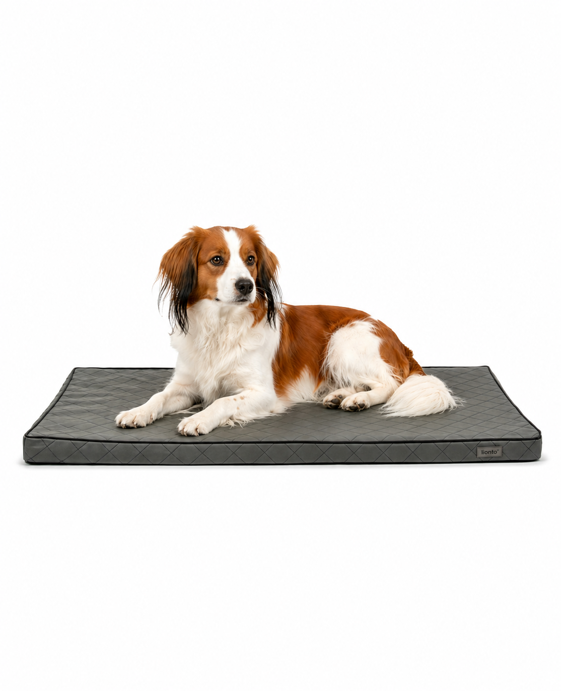 Orthopädische Hundematte