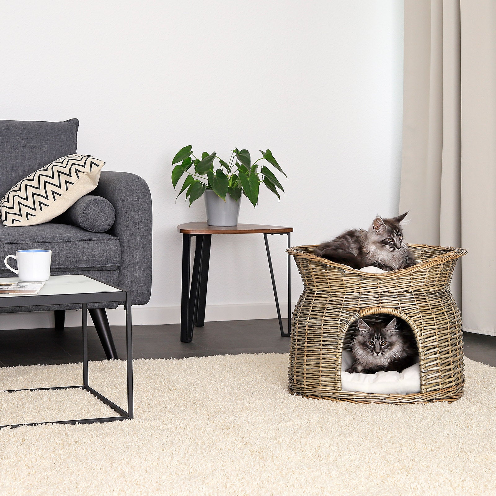 Weidenkorb für Katzen