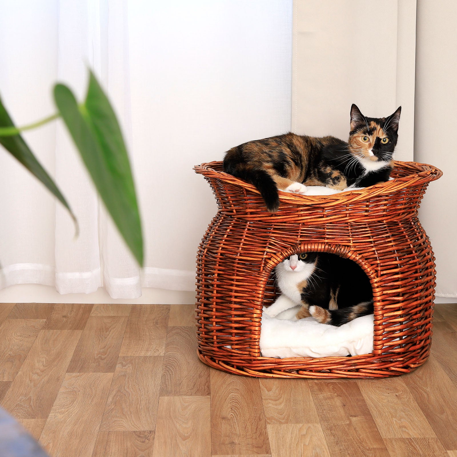 Weidenkorb für Katzen