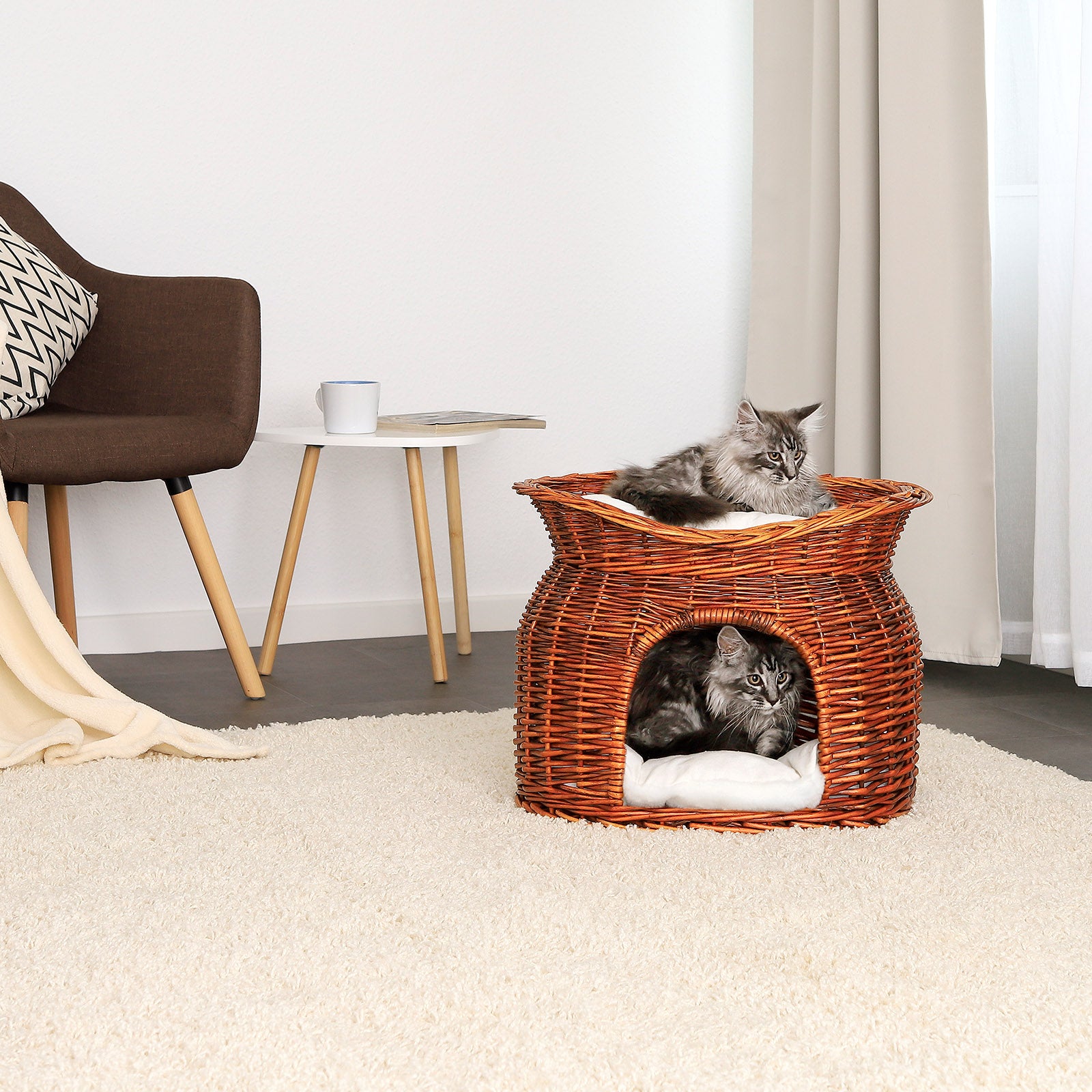 Weidenkorb für Katzen
