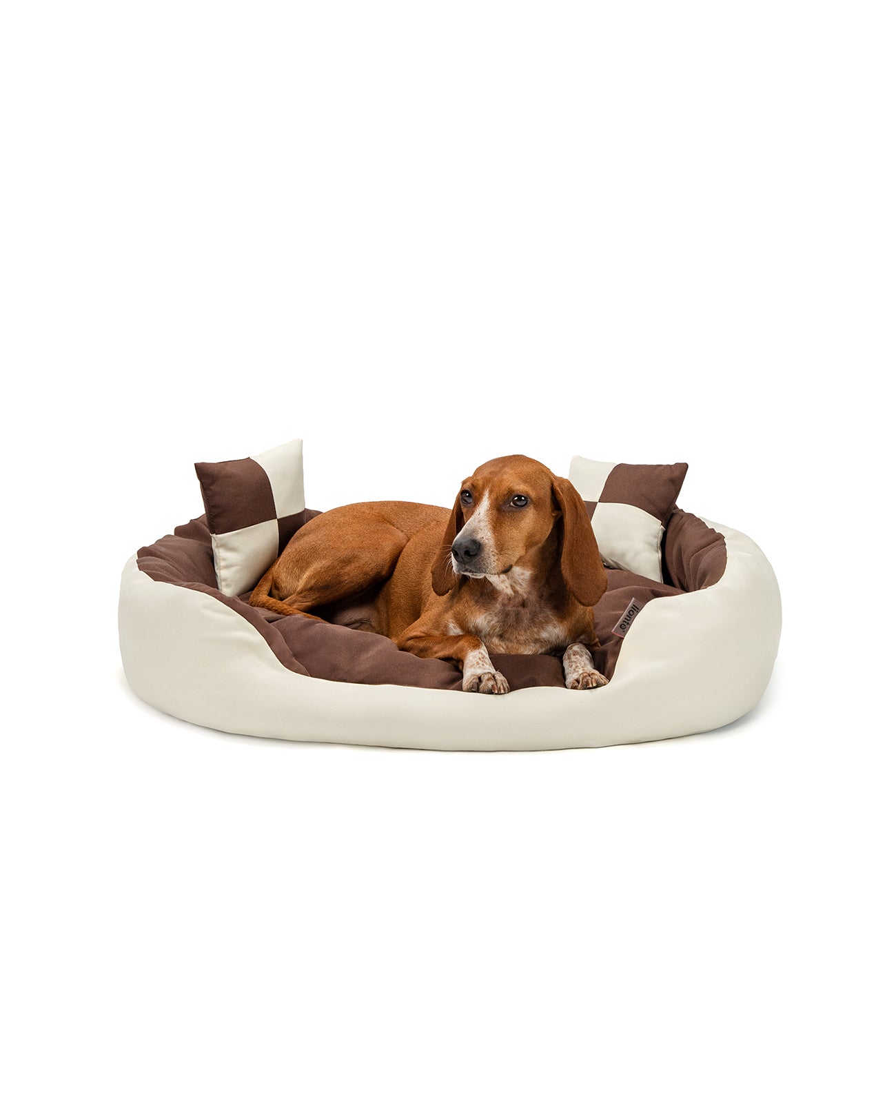 Segugio liegt in Hundebett aus Oxfordgewebe mit Wendekissen in braun/beige
