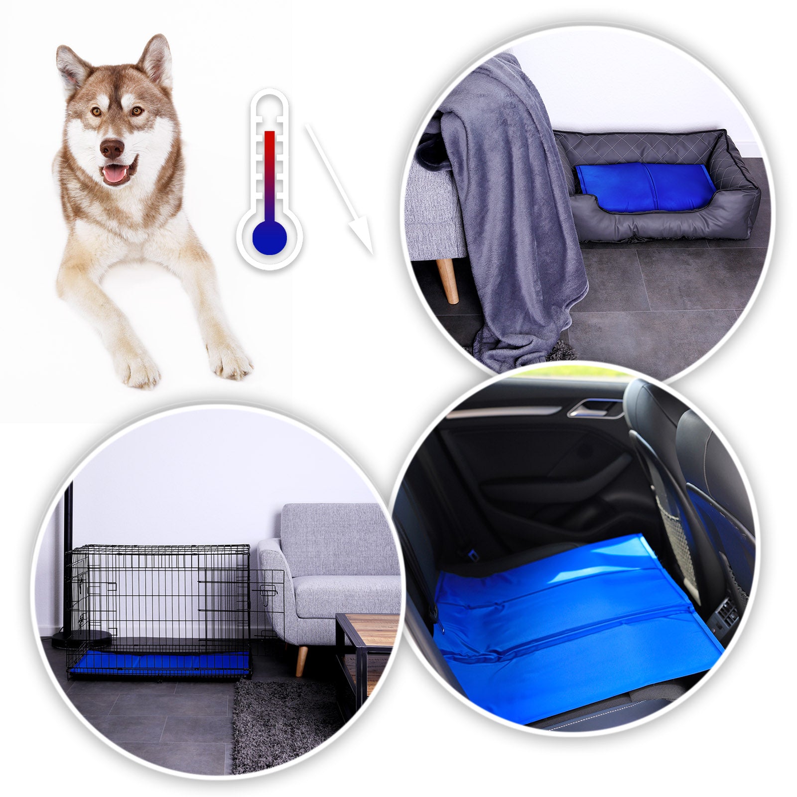 Kühlmatte im Hundebett liegend, auf der Autorückbank und vor der Couch im Wohnzimmer