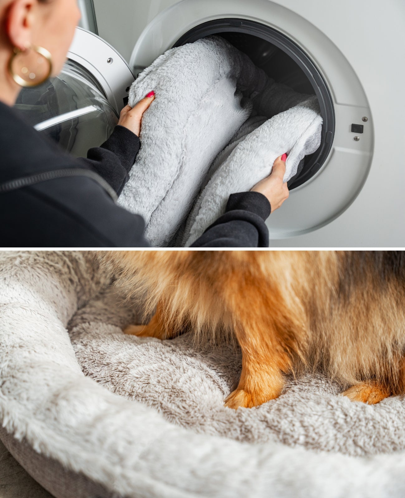 Rundes Hundebett in Donutform