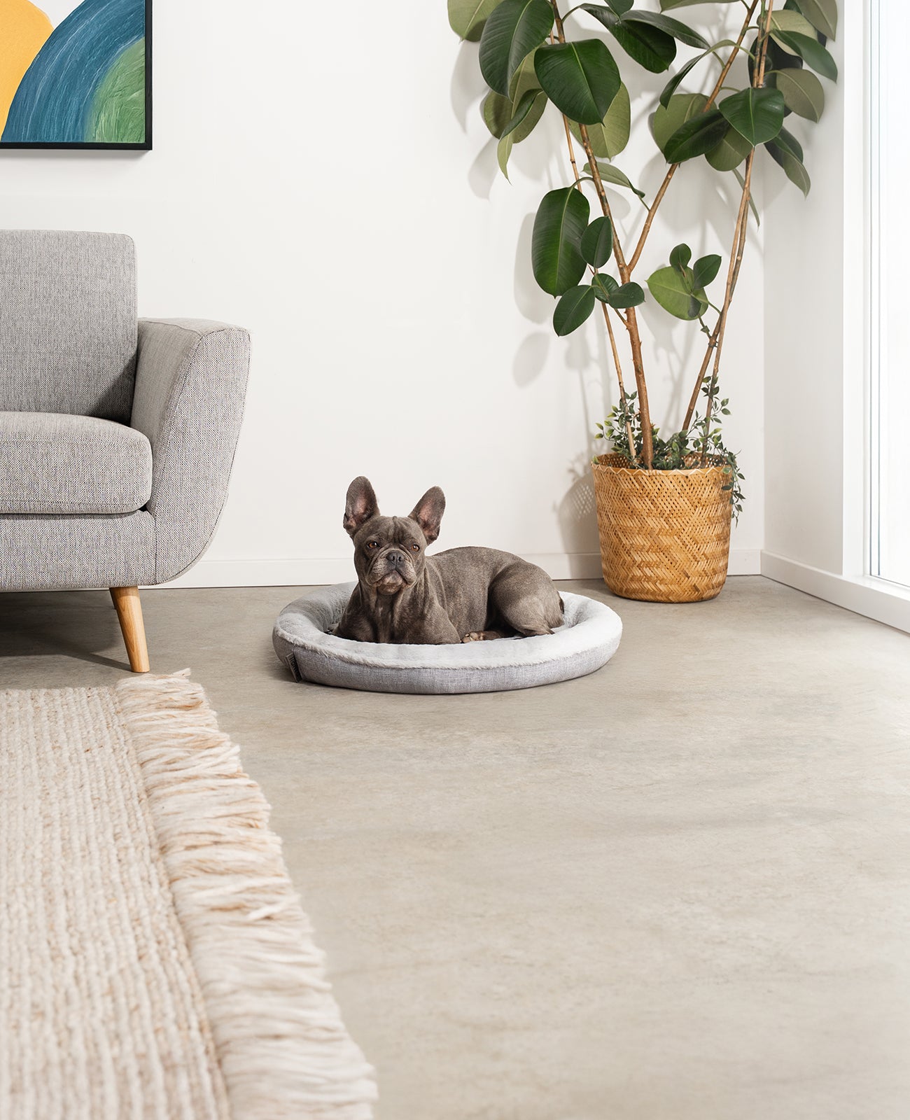 Rundes Hundebett in Donutform