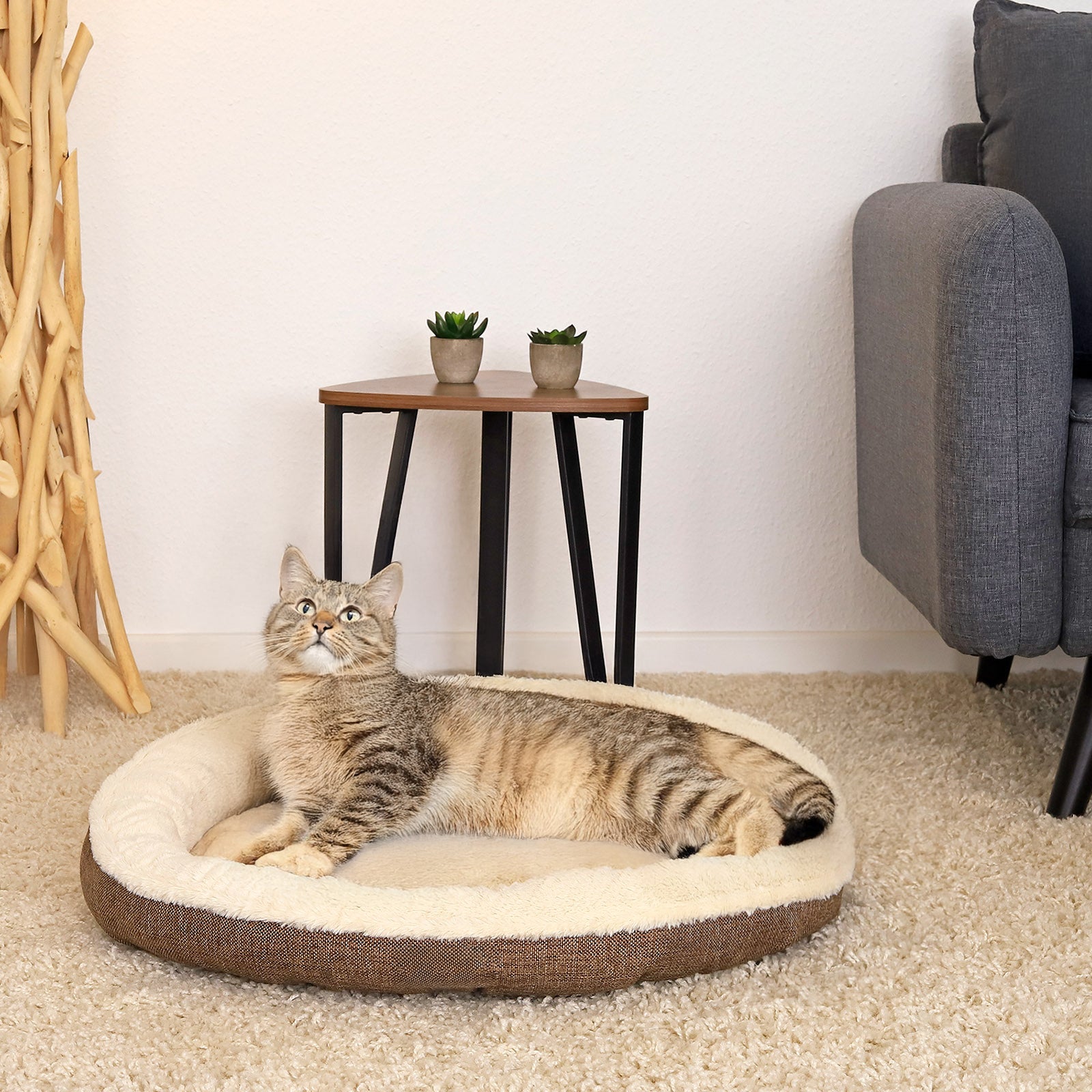 Katzenbett mit Plüsch in Donutform