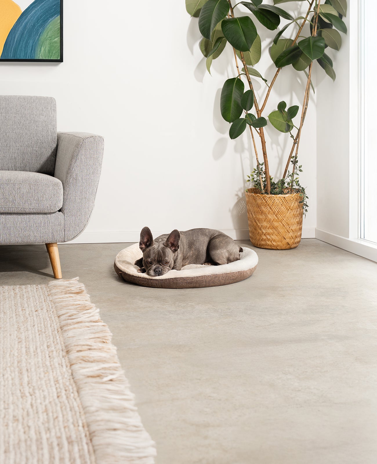 Rundes Hundebett in Donutform