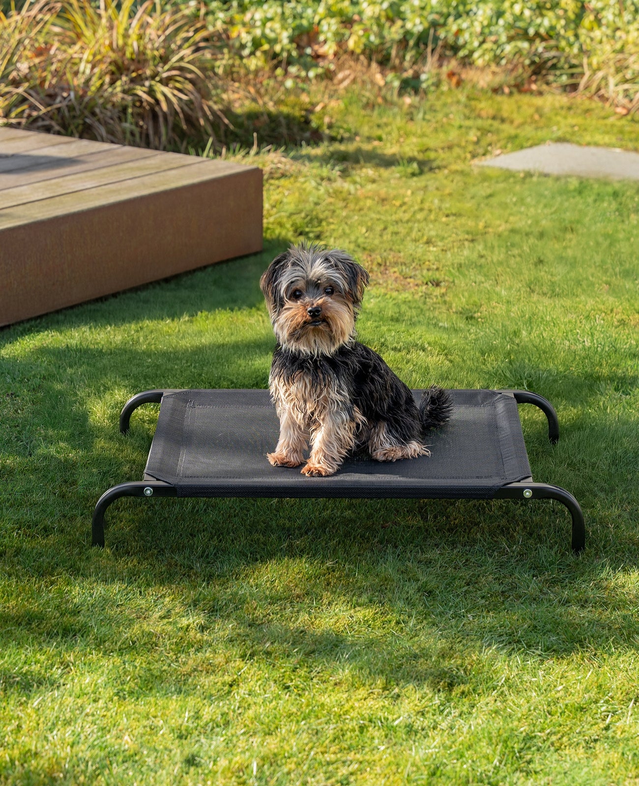 Erhöhte Hundeliege für Haus und Garten