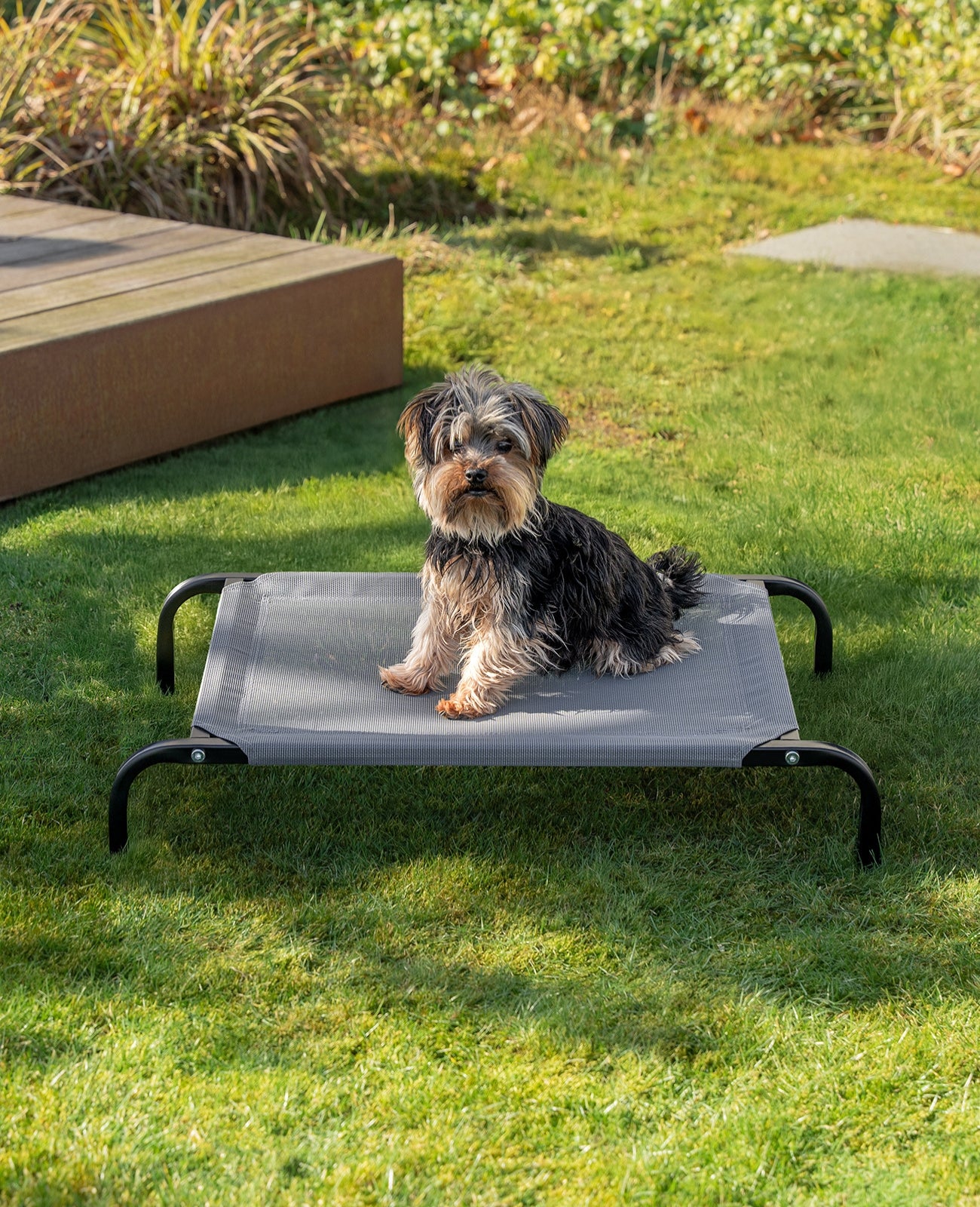 Erhöhte Hundeliege für Haus und Garten