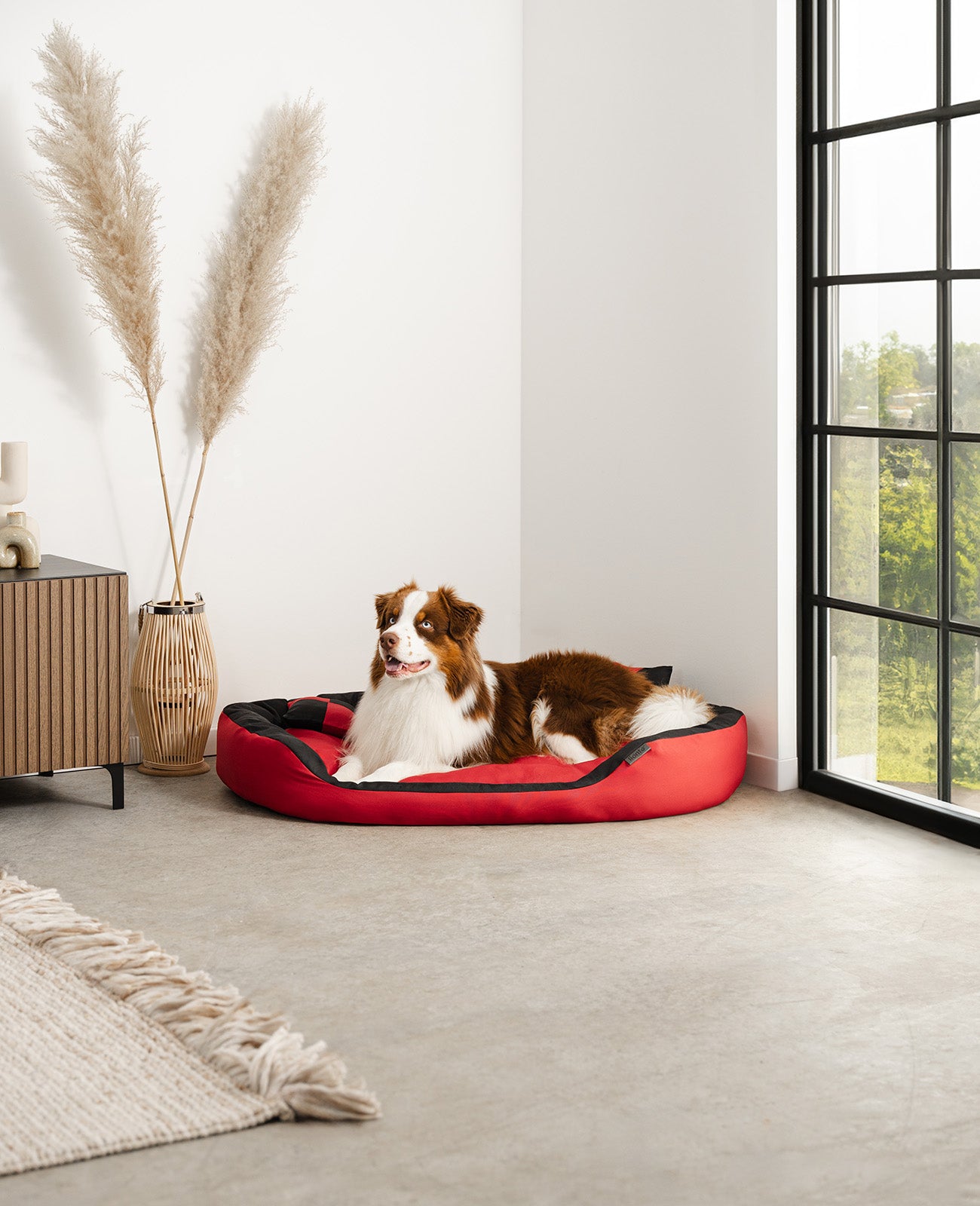 4-in-1 Hundebett mit Wendekissen