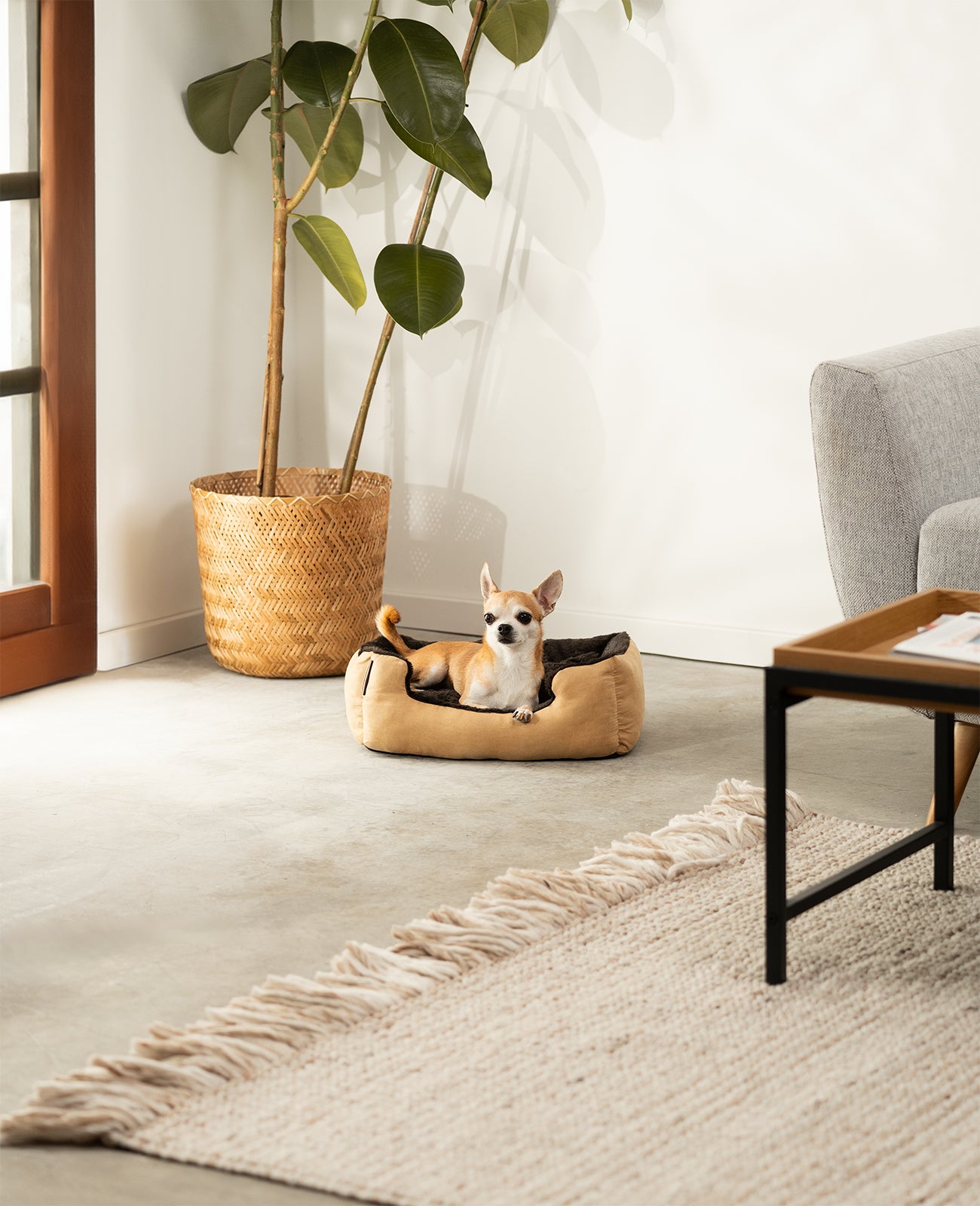 Hundebett mit Wendekissen