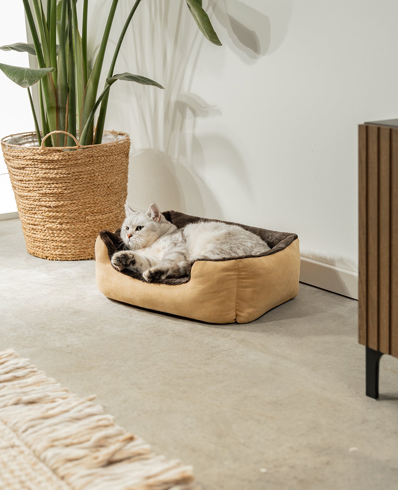 Katzenbett mit Wendekissen