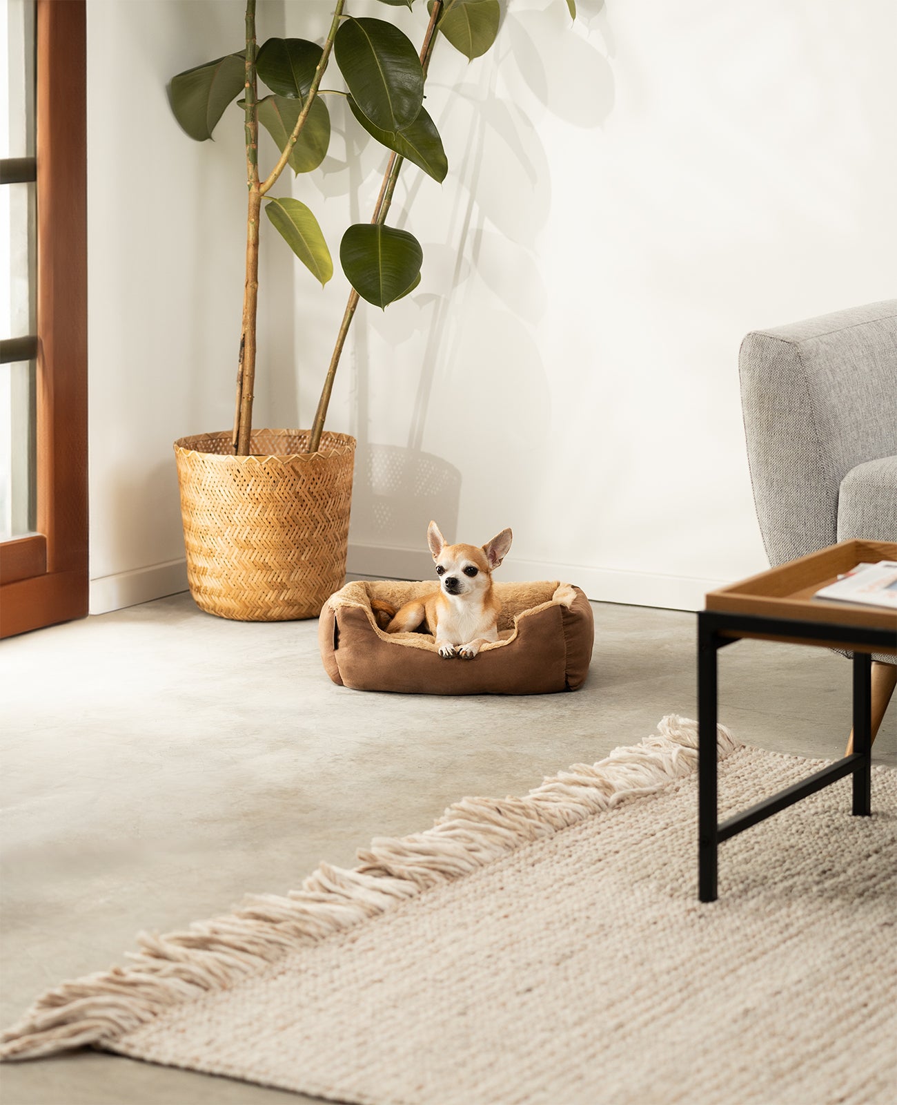 Hundebett mit Wendekissen