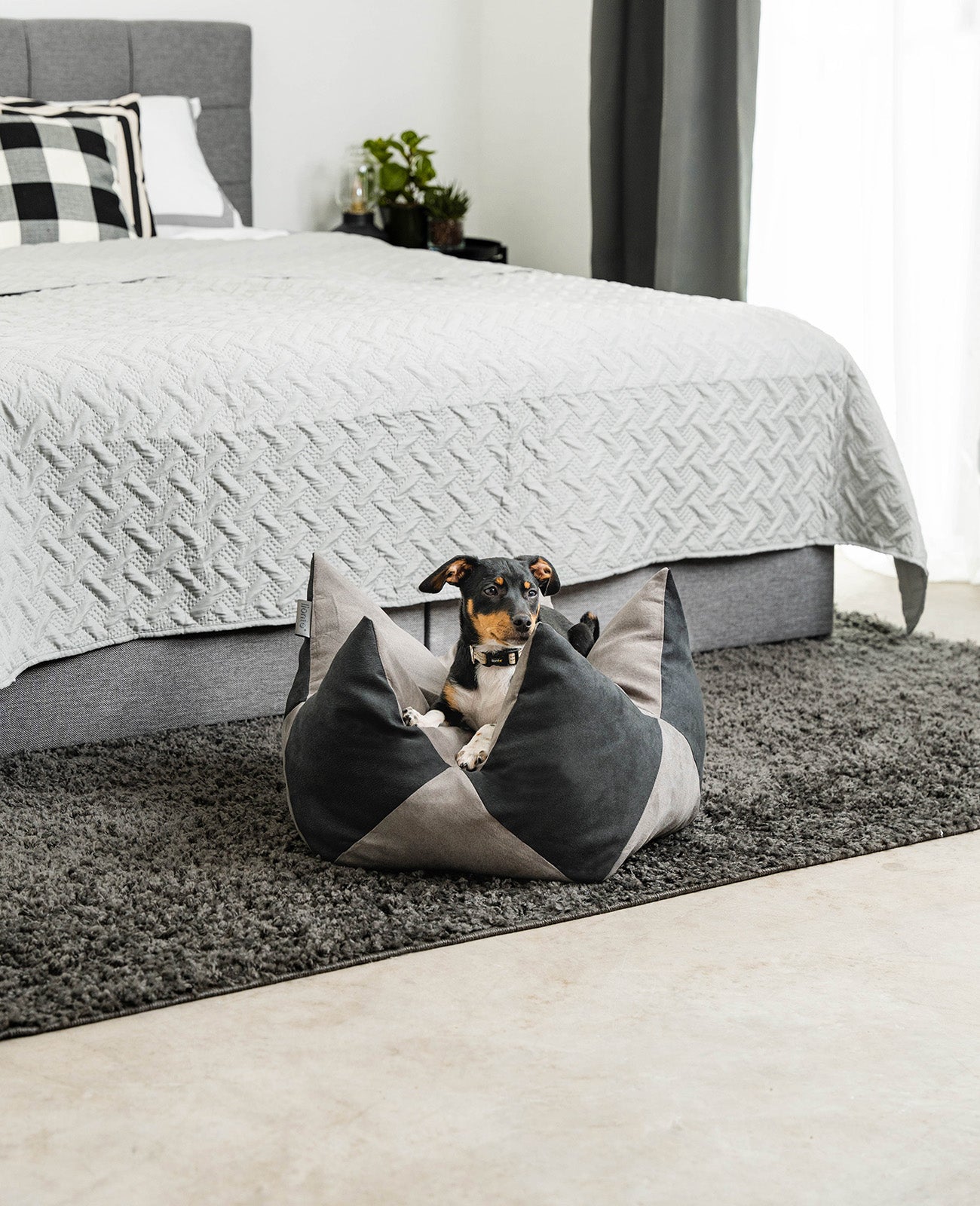 Kronenkissen für Hunde