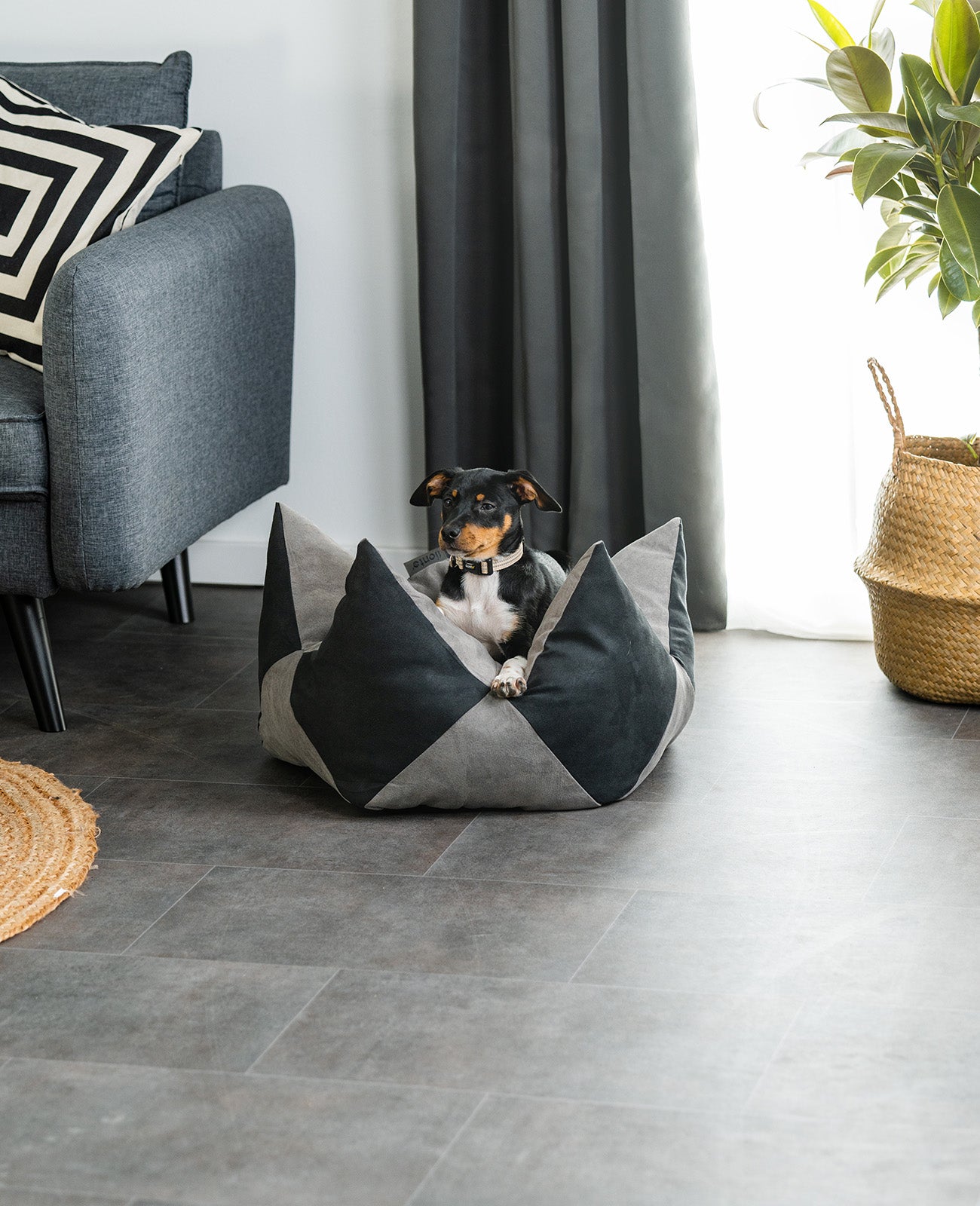 Kronenkissen für Hunde