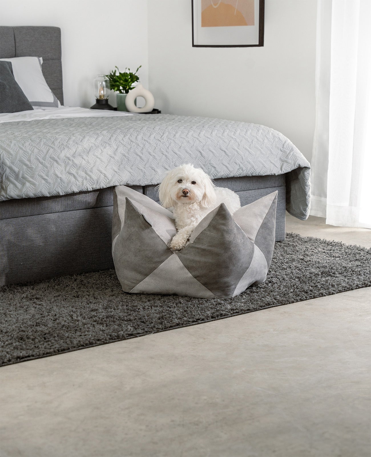 Kronenkissen für Hunde