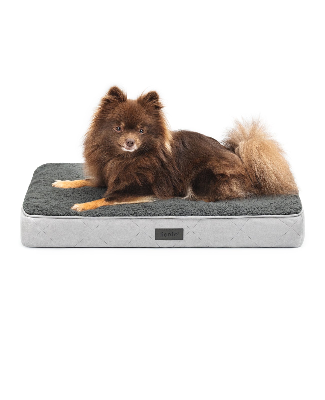 Orthopädisches Hundebett mit Plüsch