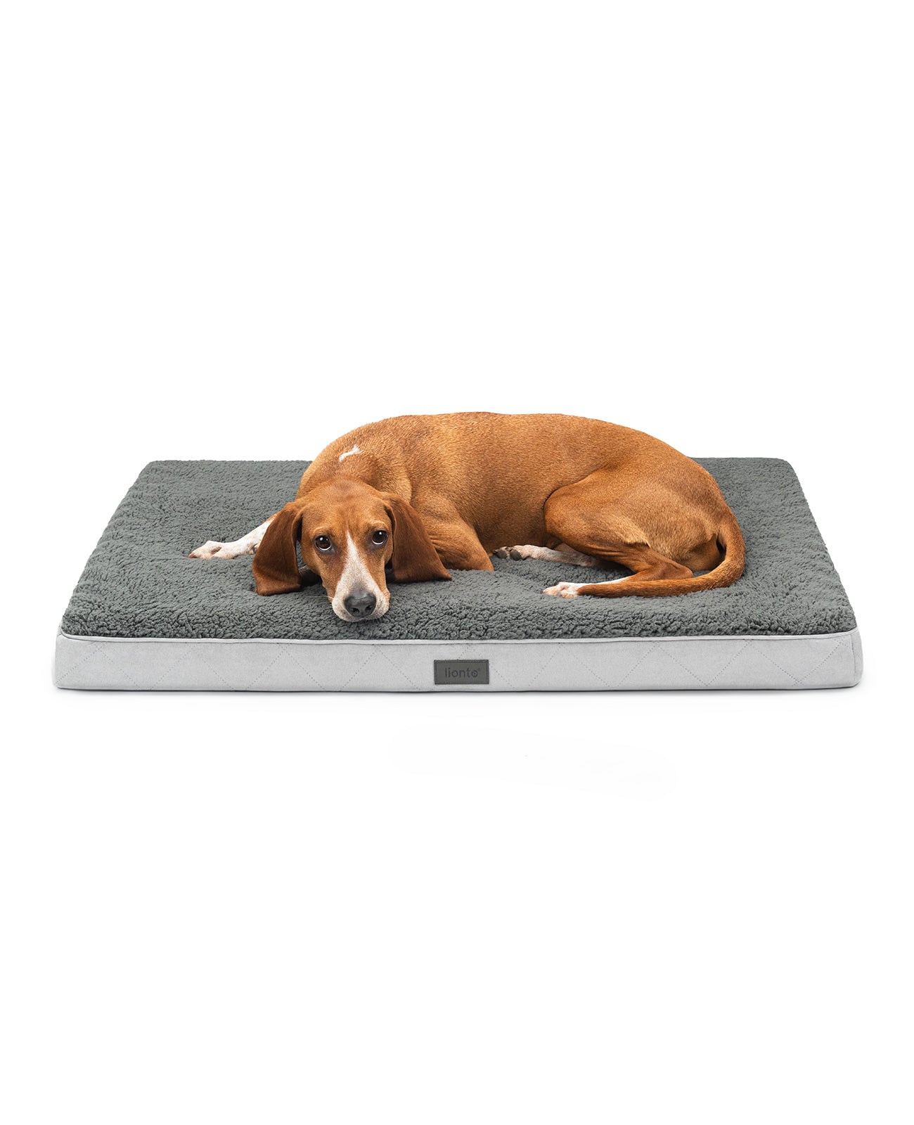 Orthopädisches Hundebett mit Plüsch