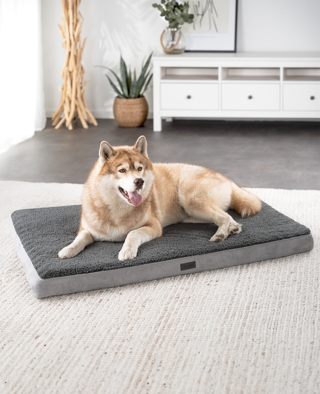 Orthopädisches Hundebett mit Plüsch