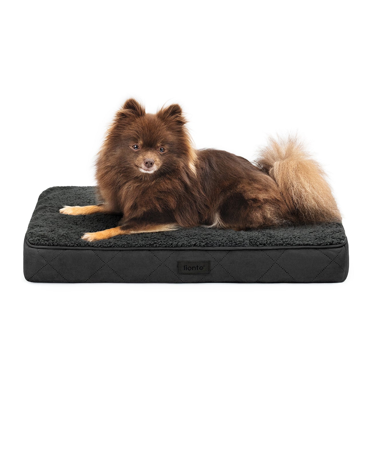 Orthopädisches Hundebett mit Plüsch