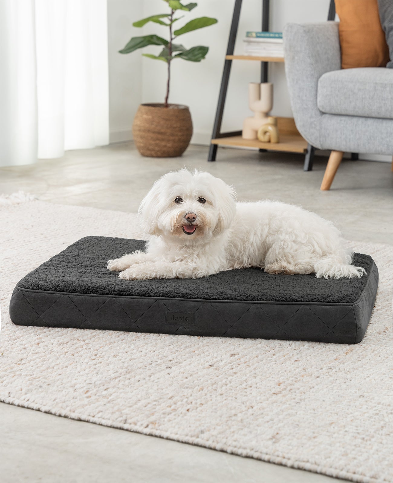 Orthopädisches Hundebett mit Plüsch