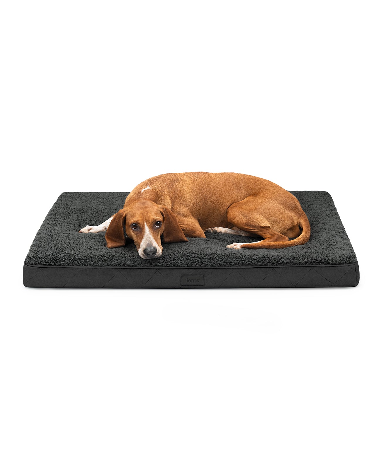 Orthopädisches Hundebett mit Plüsch