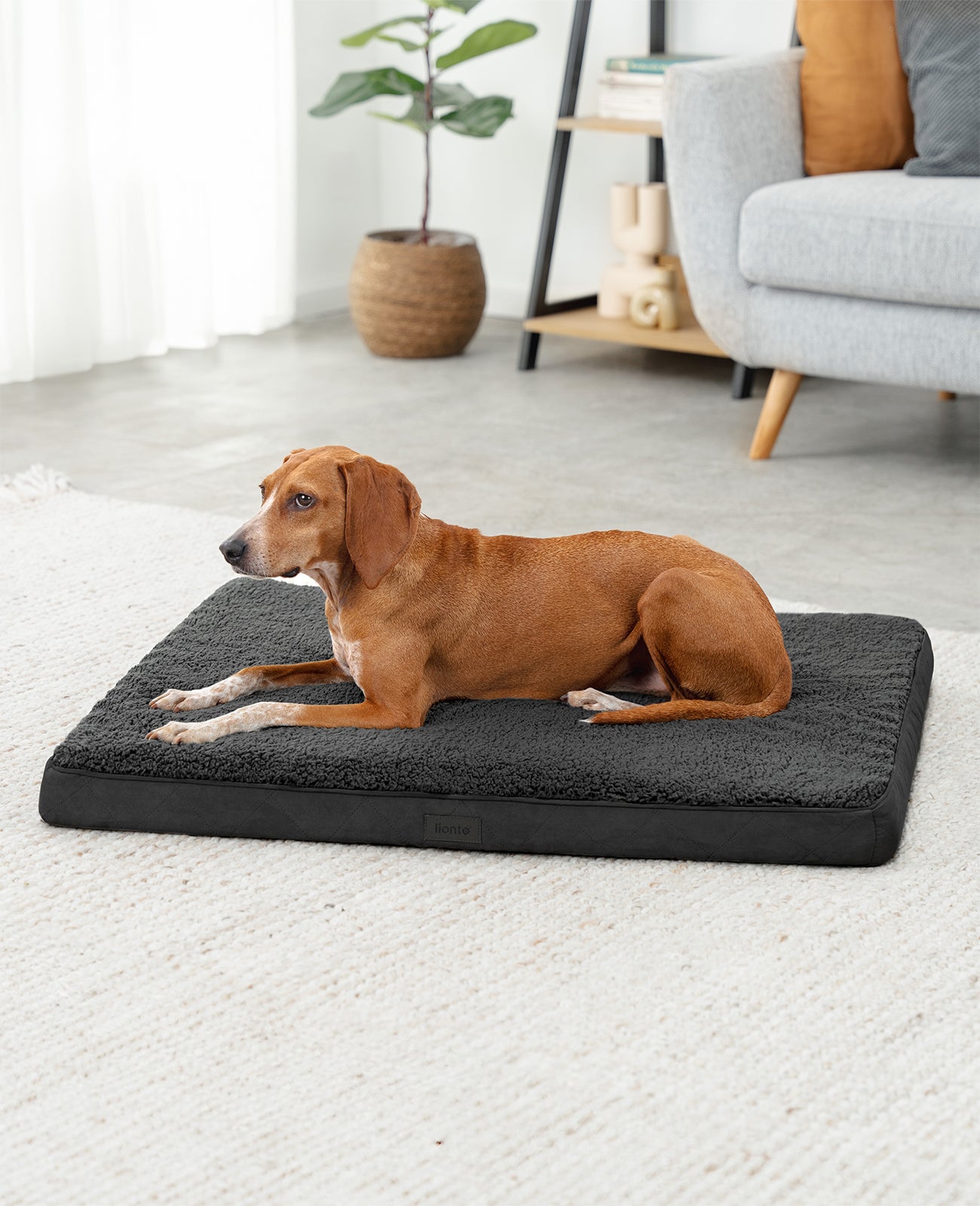 Orthopädisches Hundebett mit Plüsch