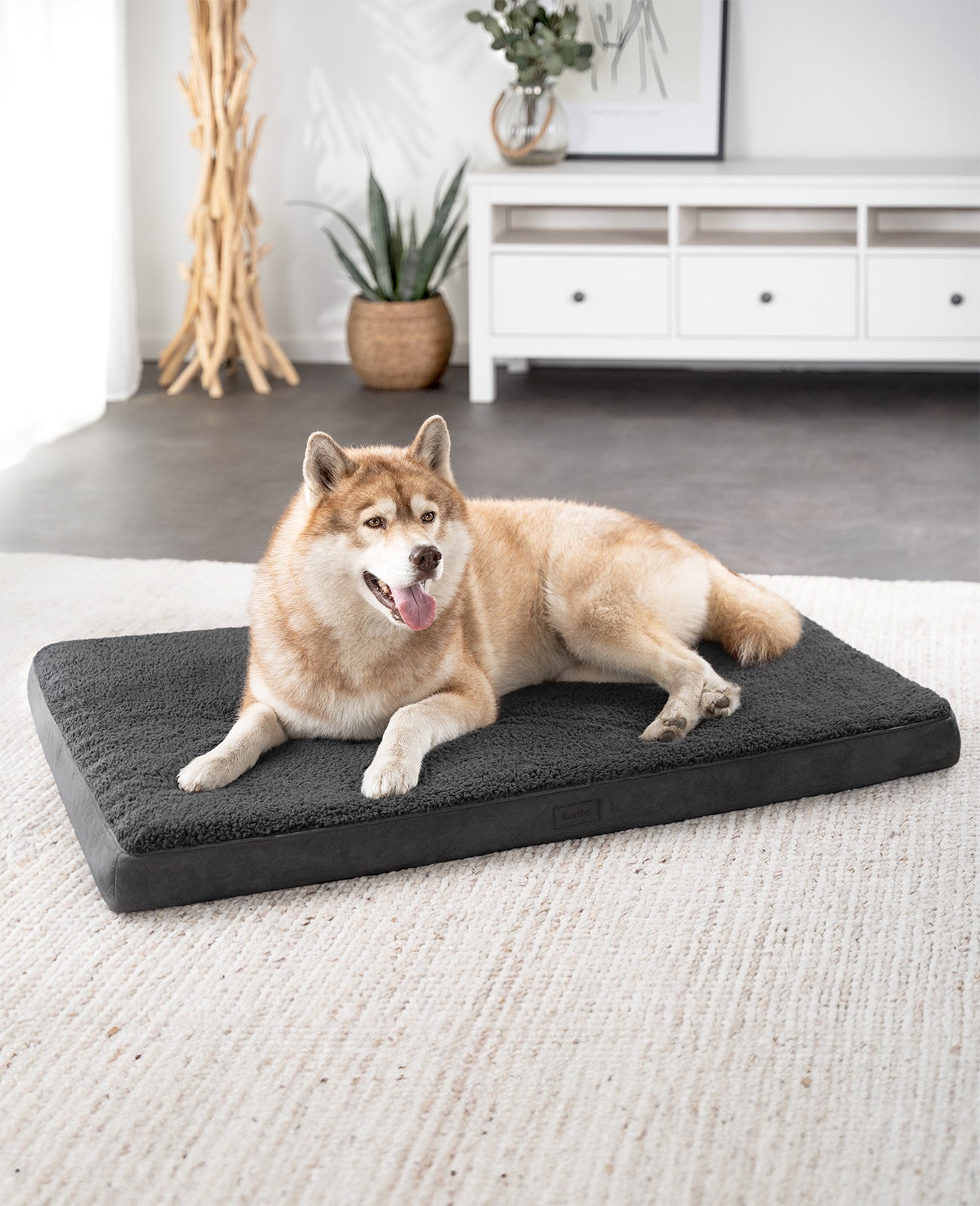 Orthopädisches Hundebett mit Plüsch