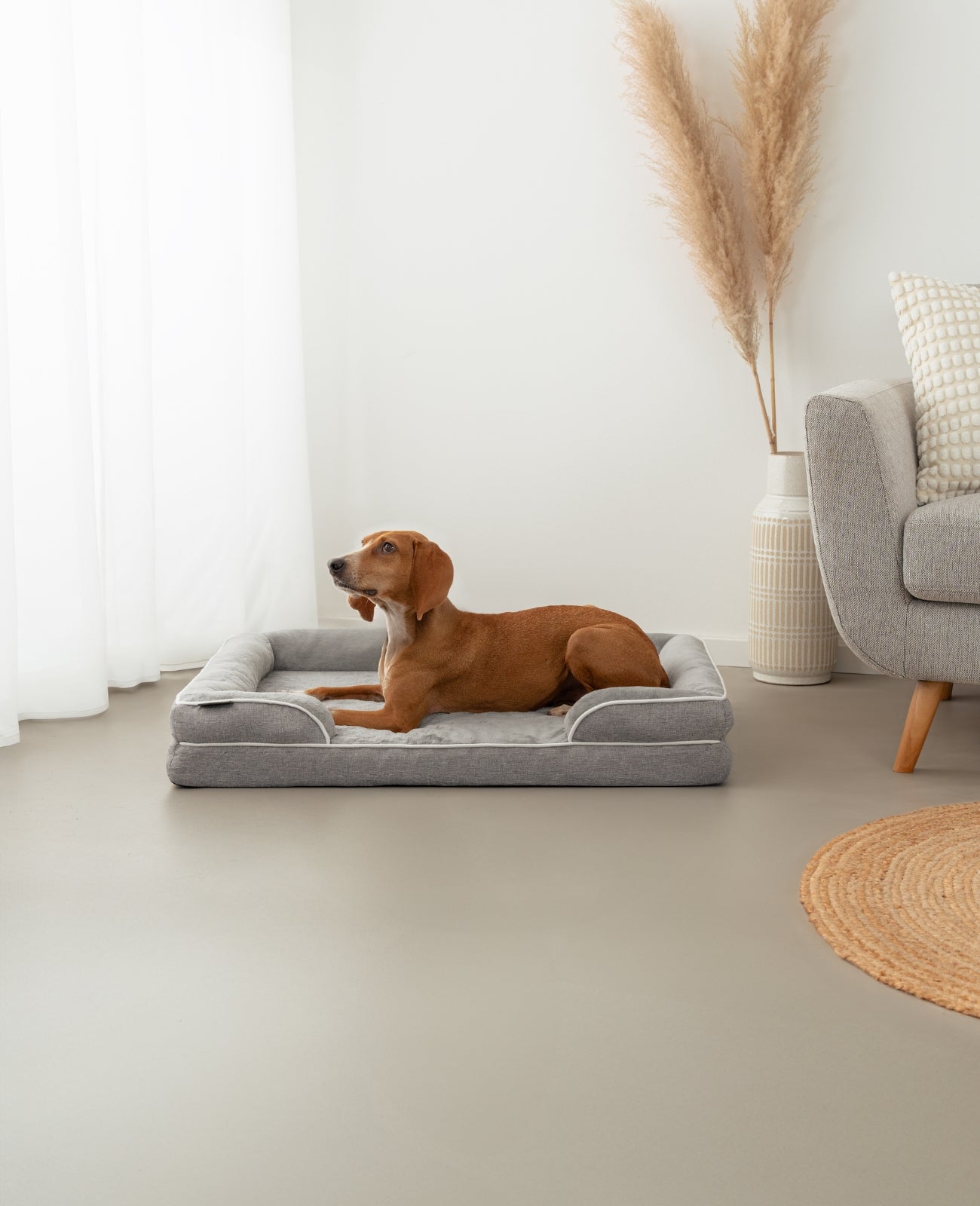 Orthopädisches Hundebett mit erhöhtem Rand, rutschfest