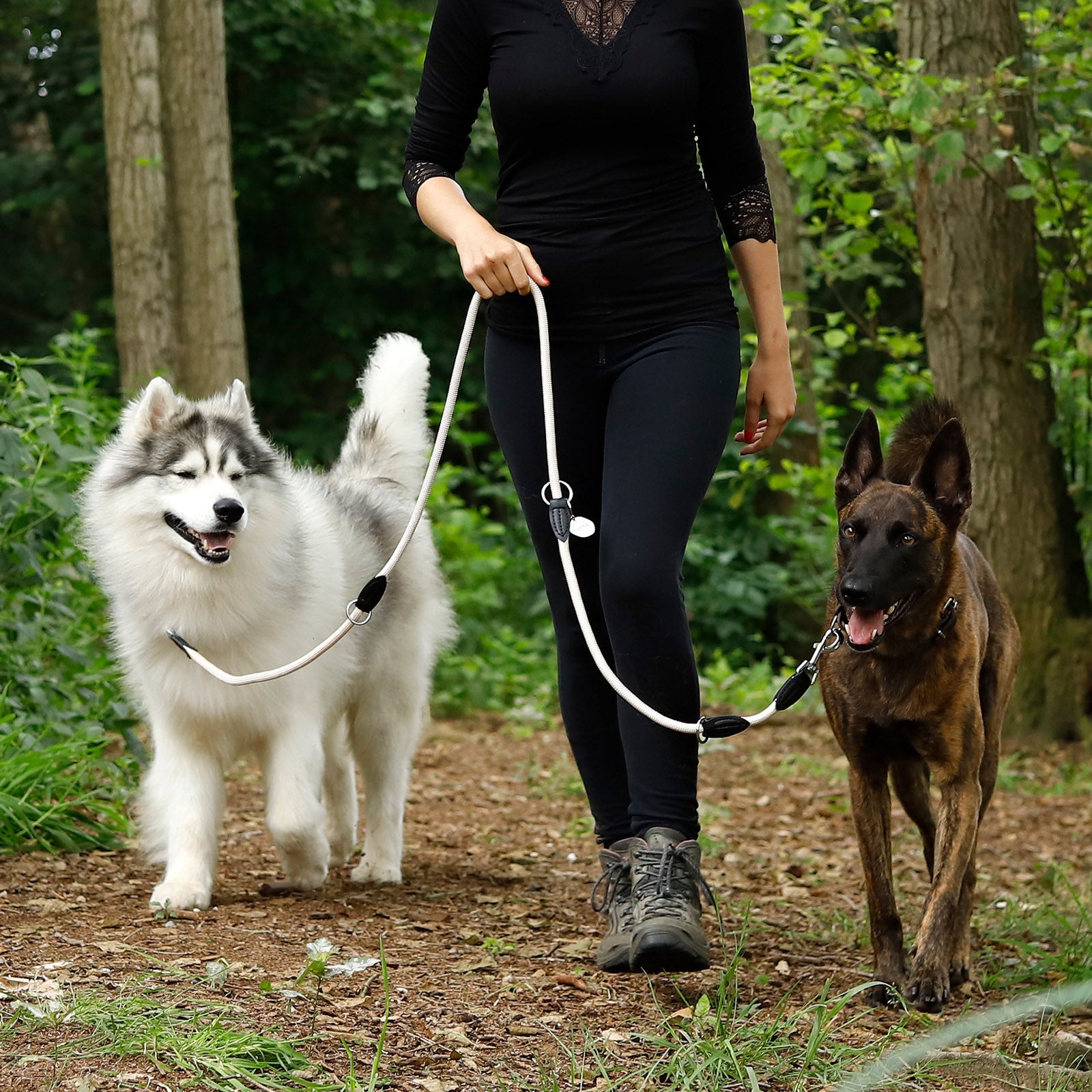 Frau geht mit zwei hunden an der gleichen Leine befestigt im Wald spazieren