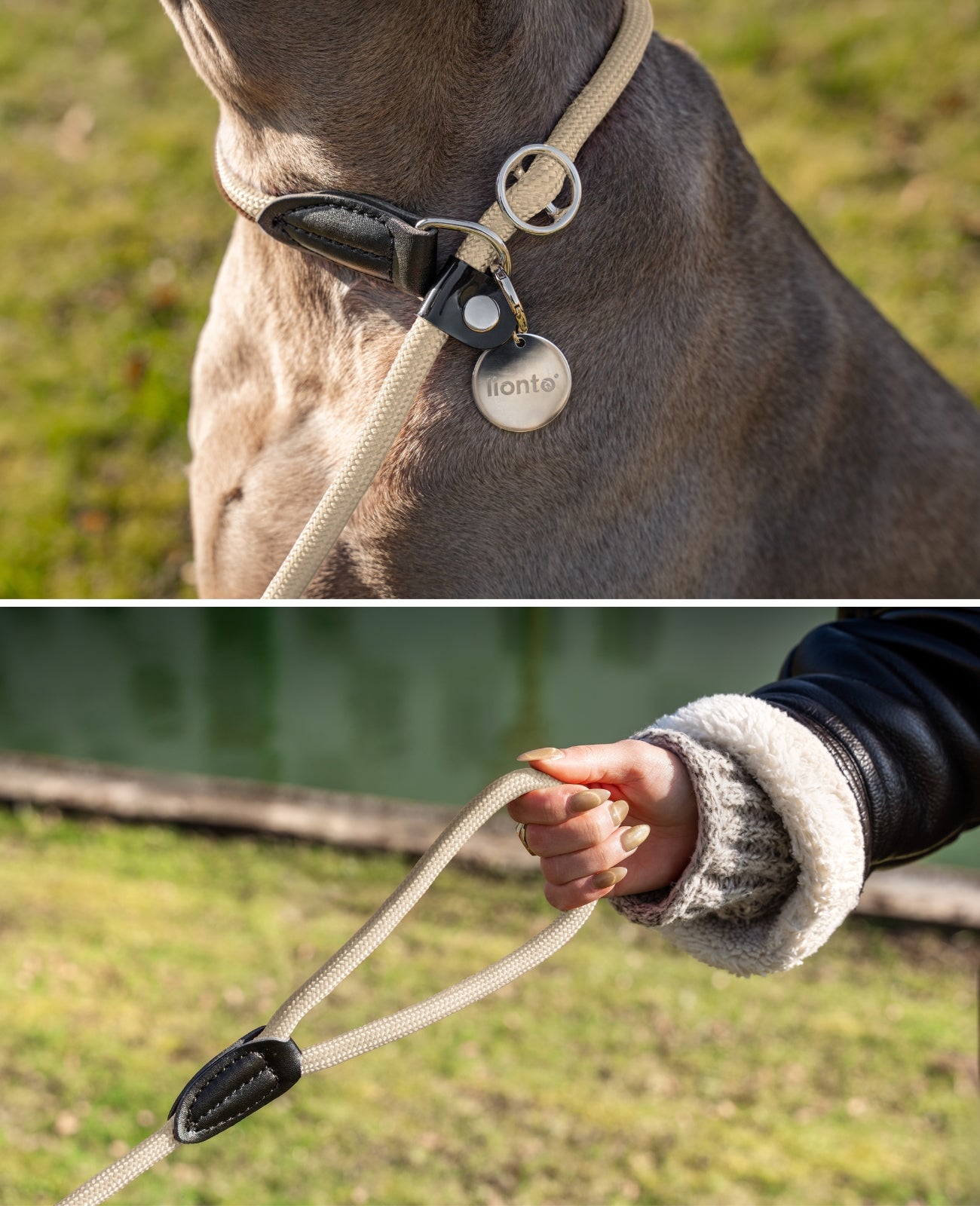 Hundeleine mit Zugstopp