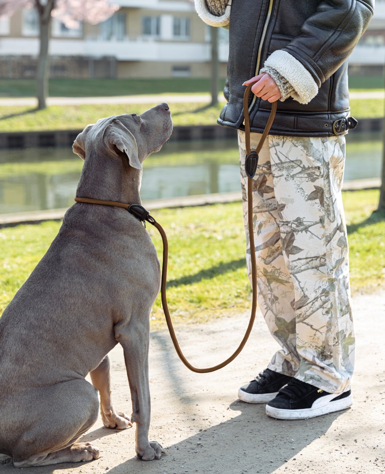 Hundeleine mit Zugstopp