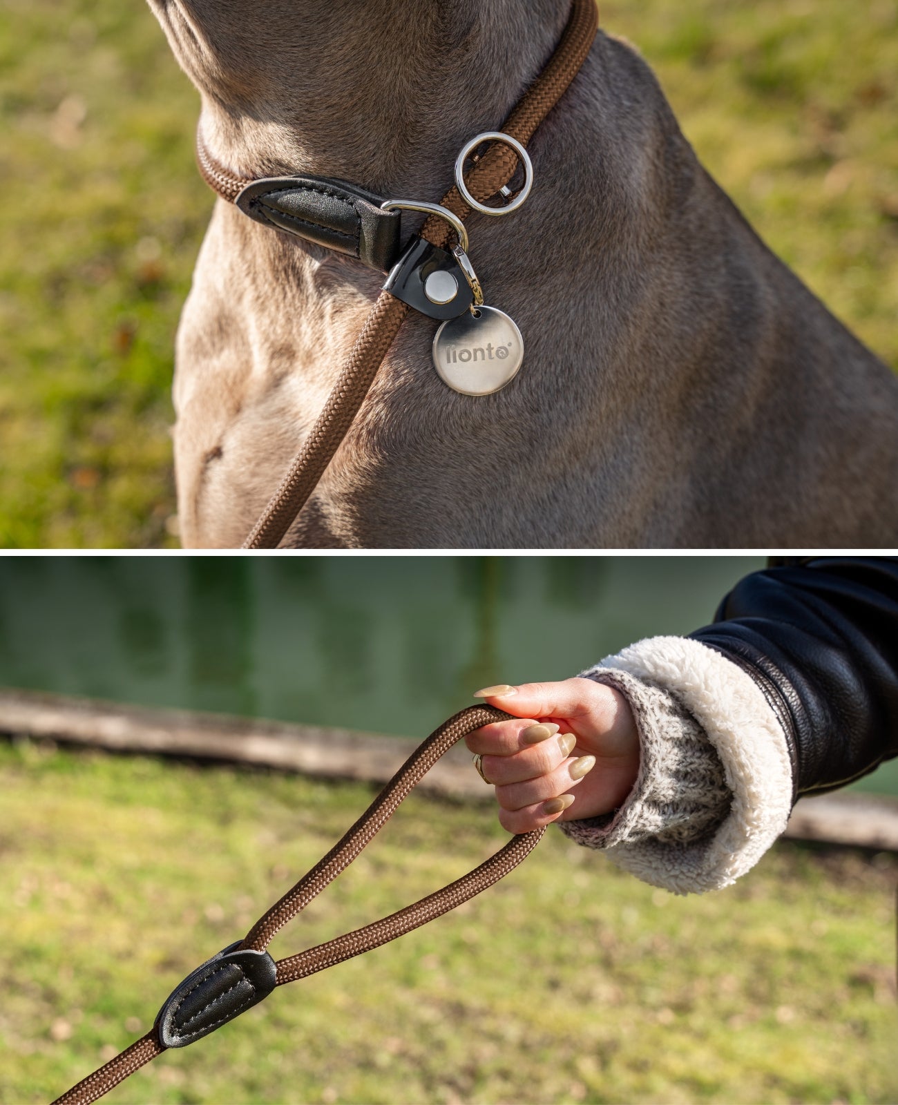 Hundeleine mit Zugstopp