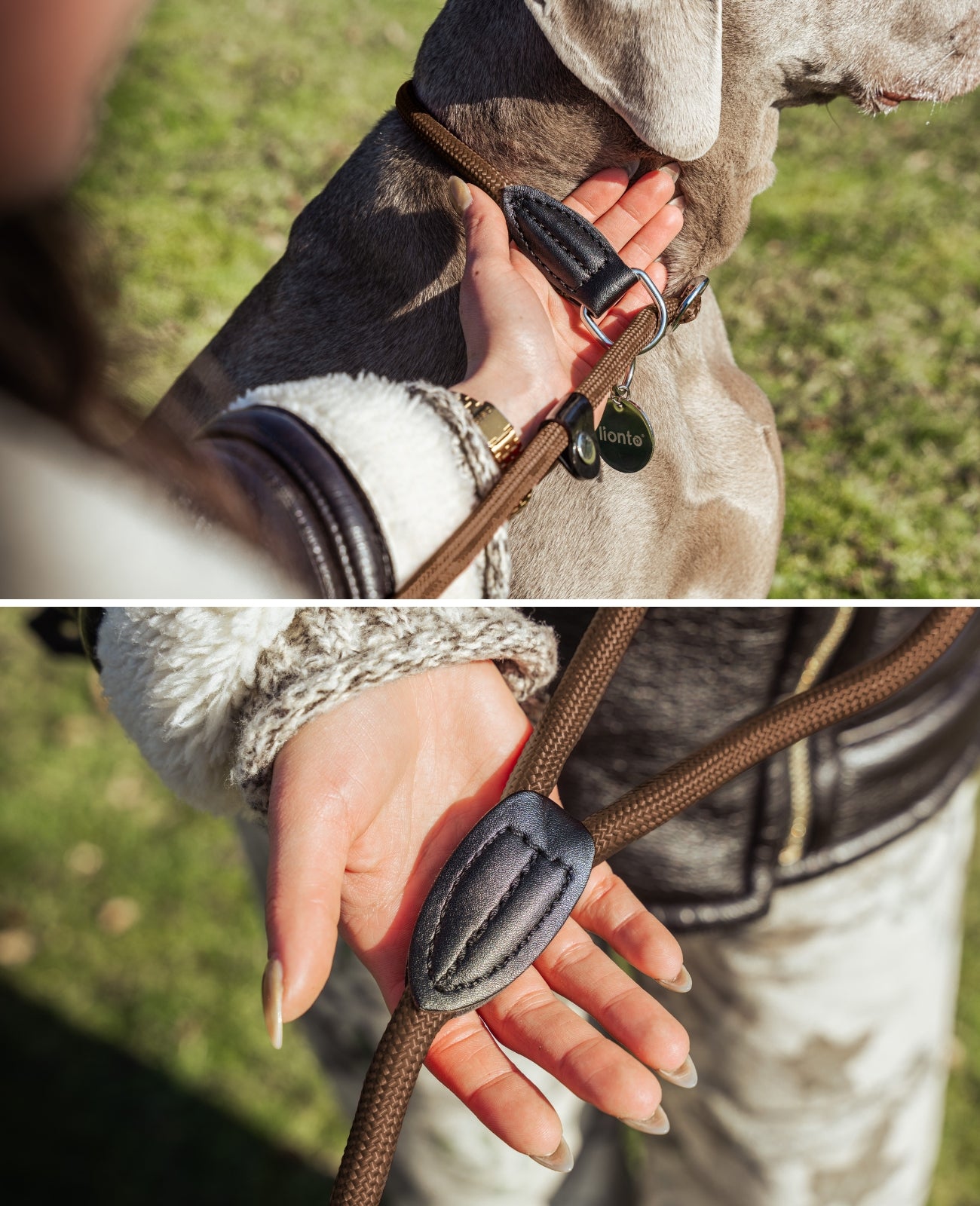 Hundeleine mit Zugstopp