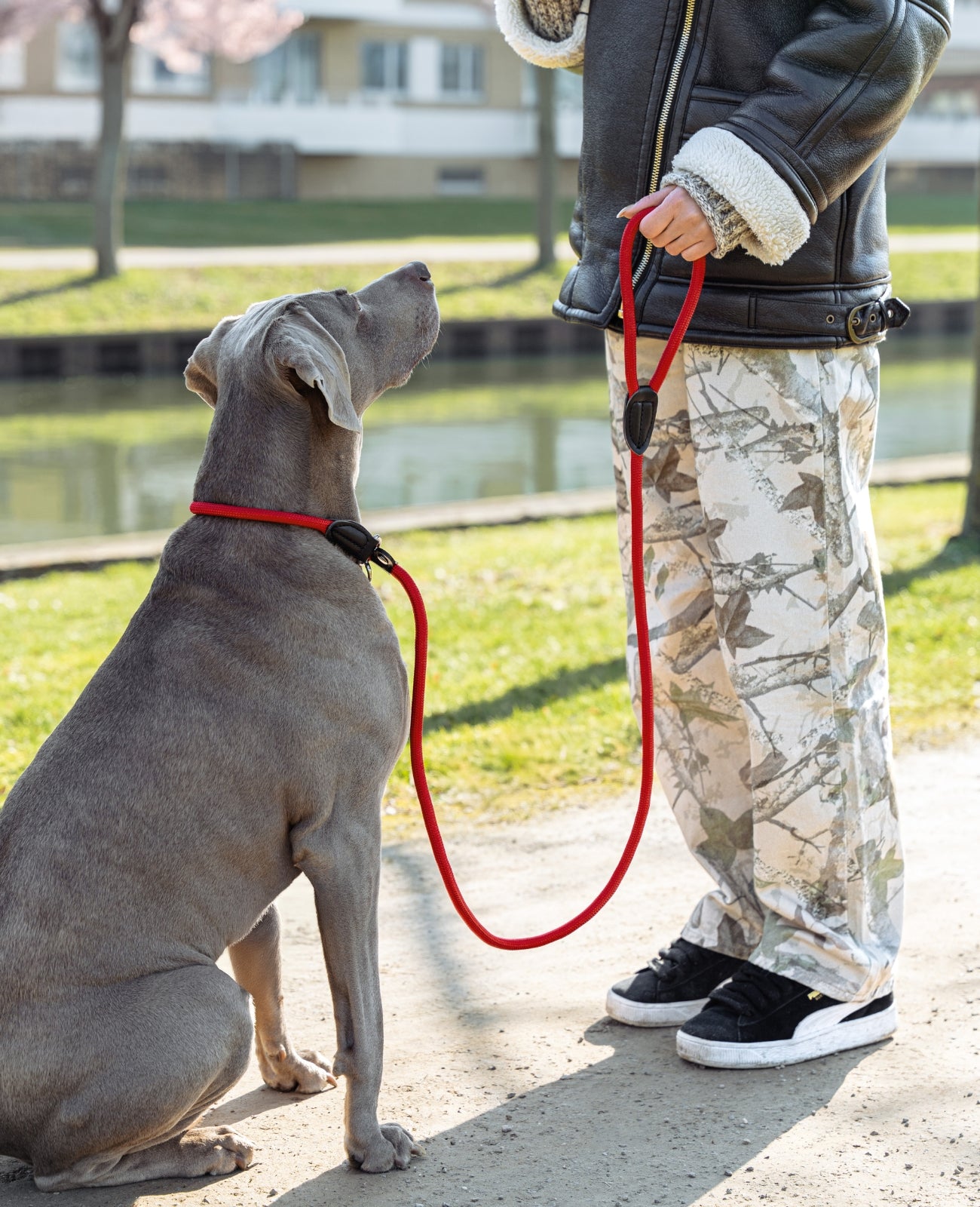 Hundeleine mit Zugstopp