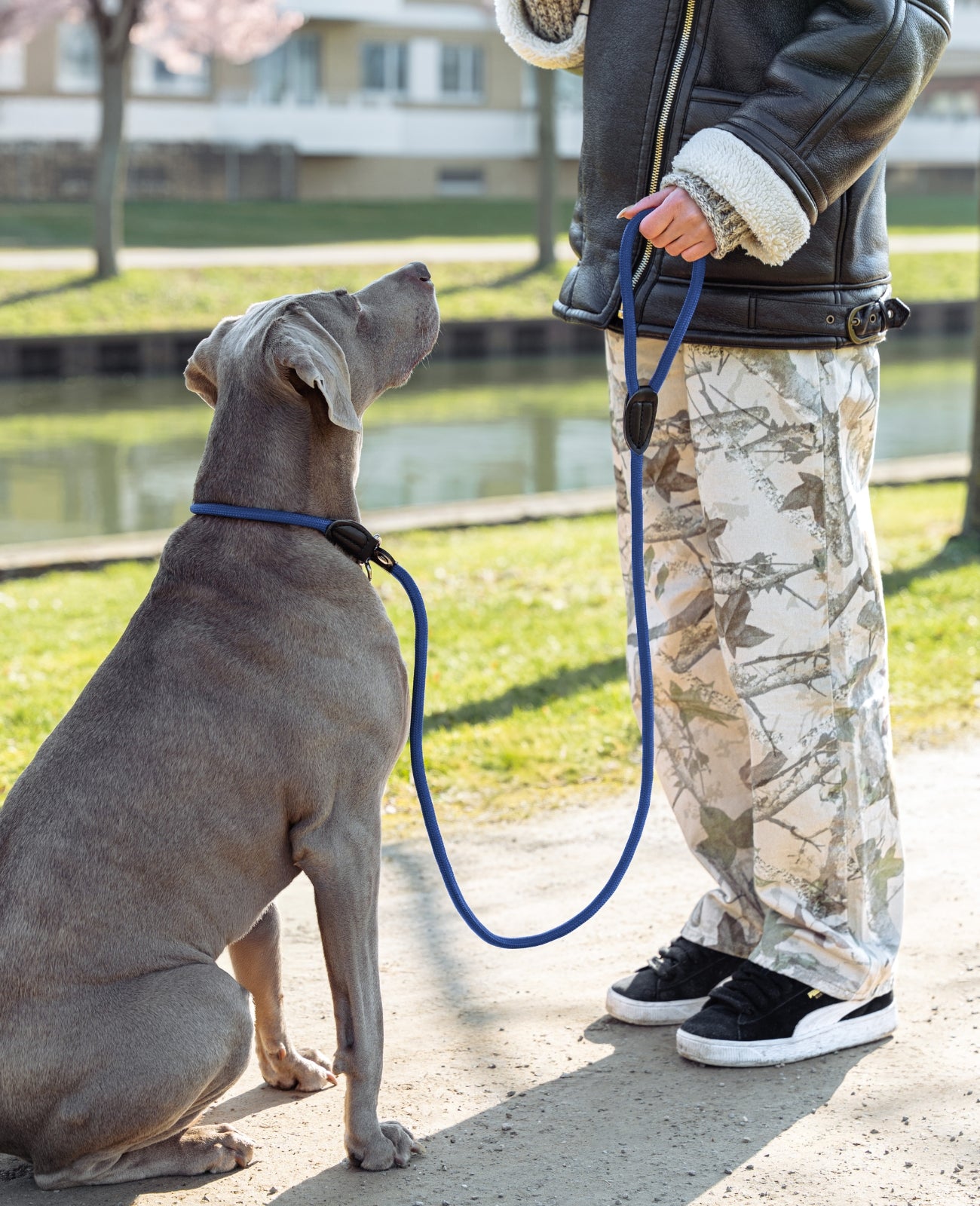 Hundeleine mit Zugstopp