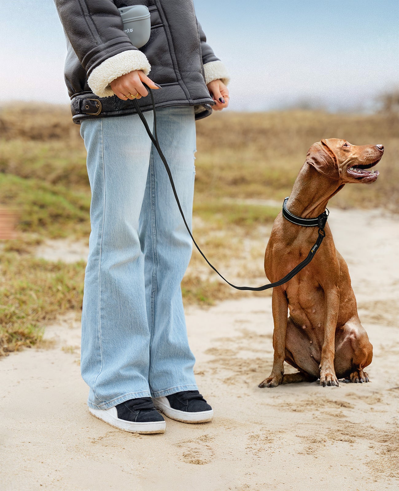 Gummierte Führleine für Hunde, reflektierend