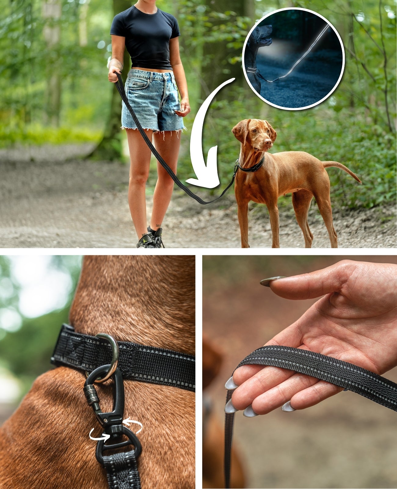 Gummierte Führleine für Hunde, reflektierend