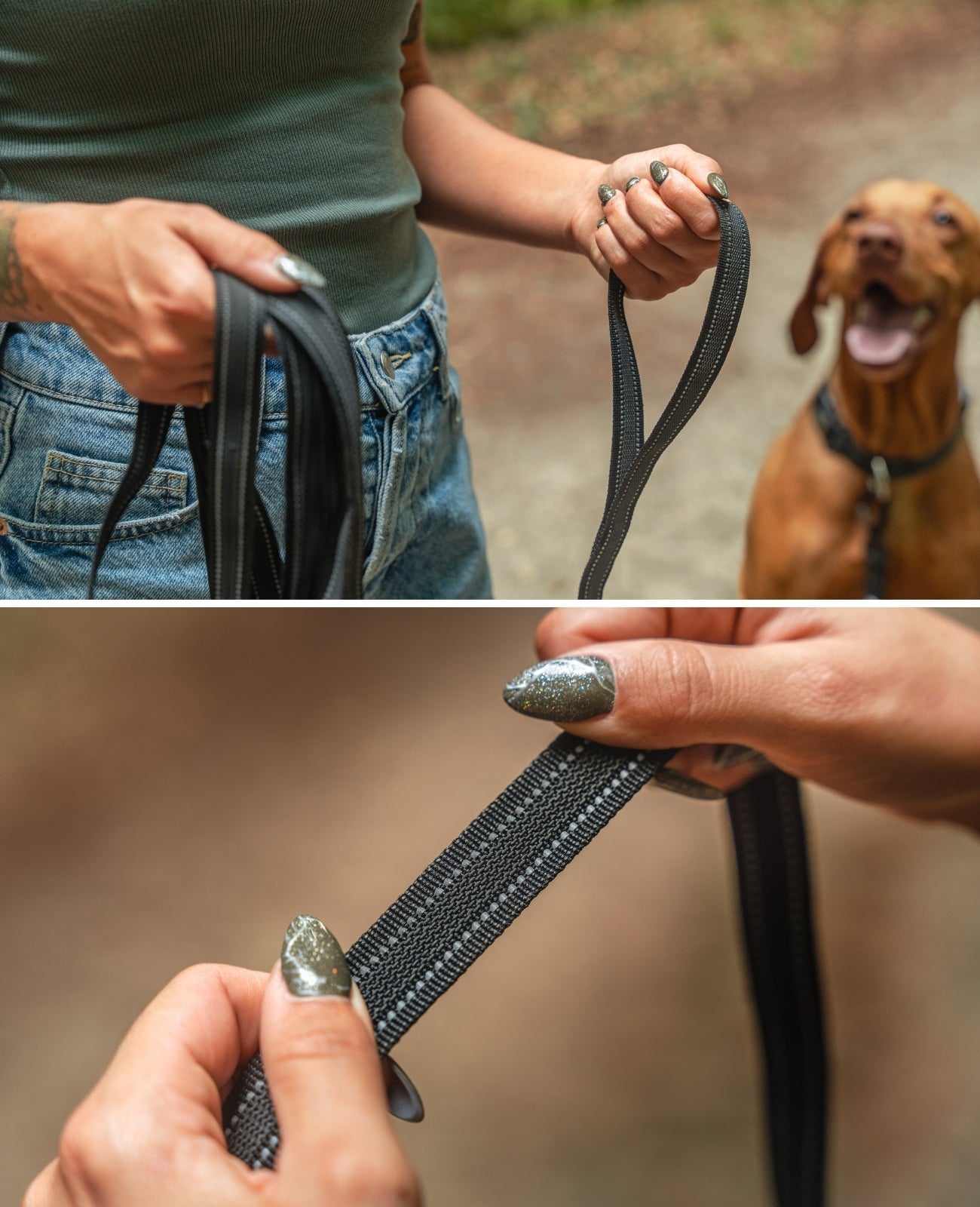 Gummierte Schleppleine für Hunde, reflektierend