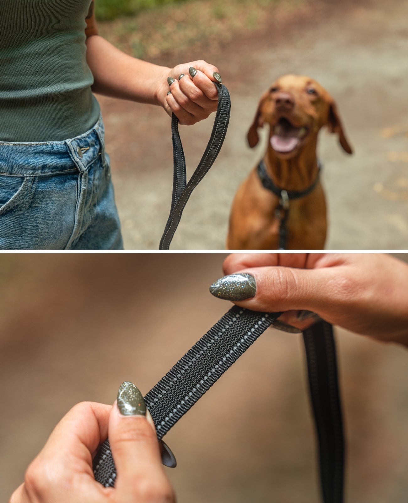 Gummierte Führleine für Hunde, reflektierend