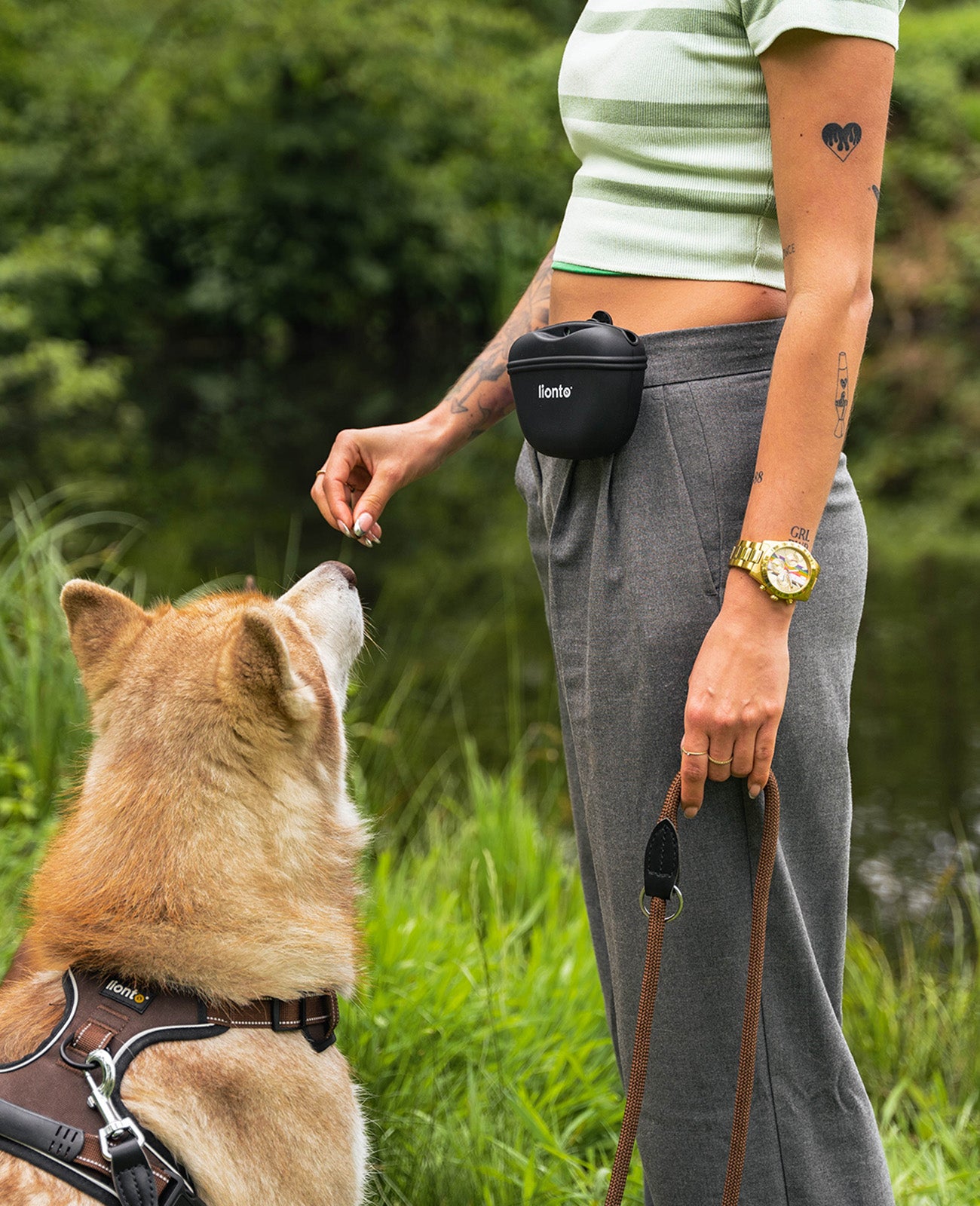 Frau hat Futterbeutel an Hosenbund befestigt und füttert Leckerchen an Husky