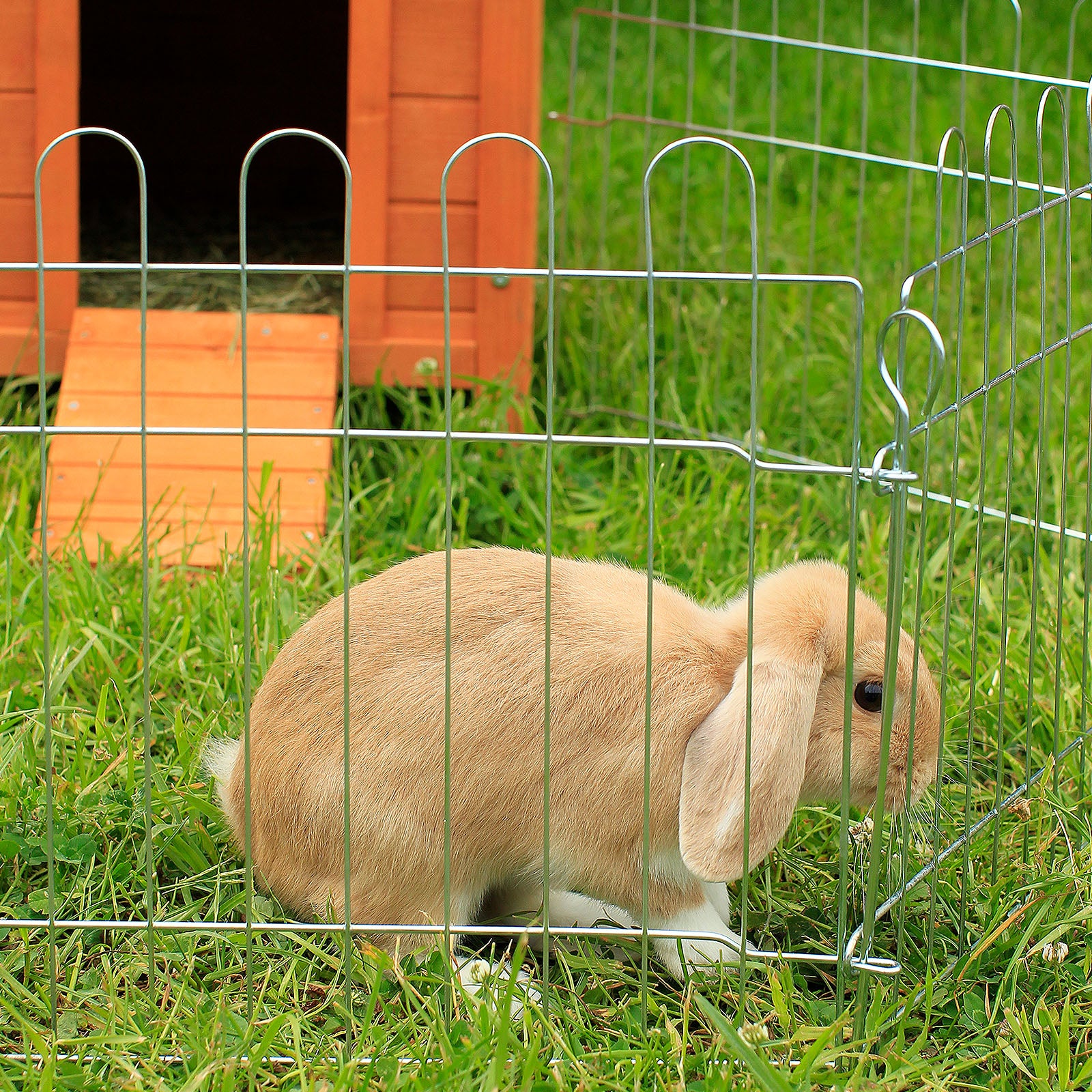 Freilaufgehege aus Metall für Kleintiere und Nager