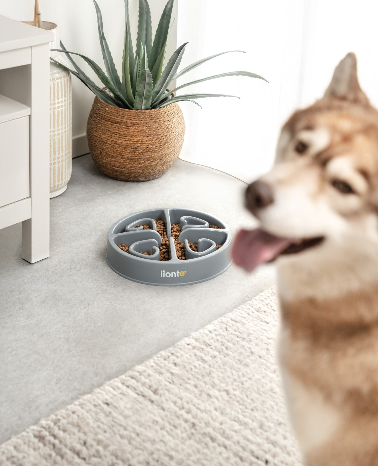 Antischlingnapf, verschiedene Varianten