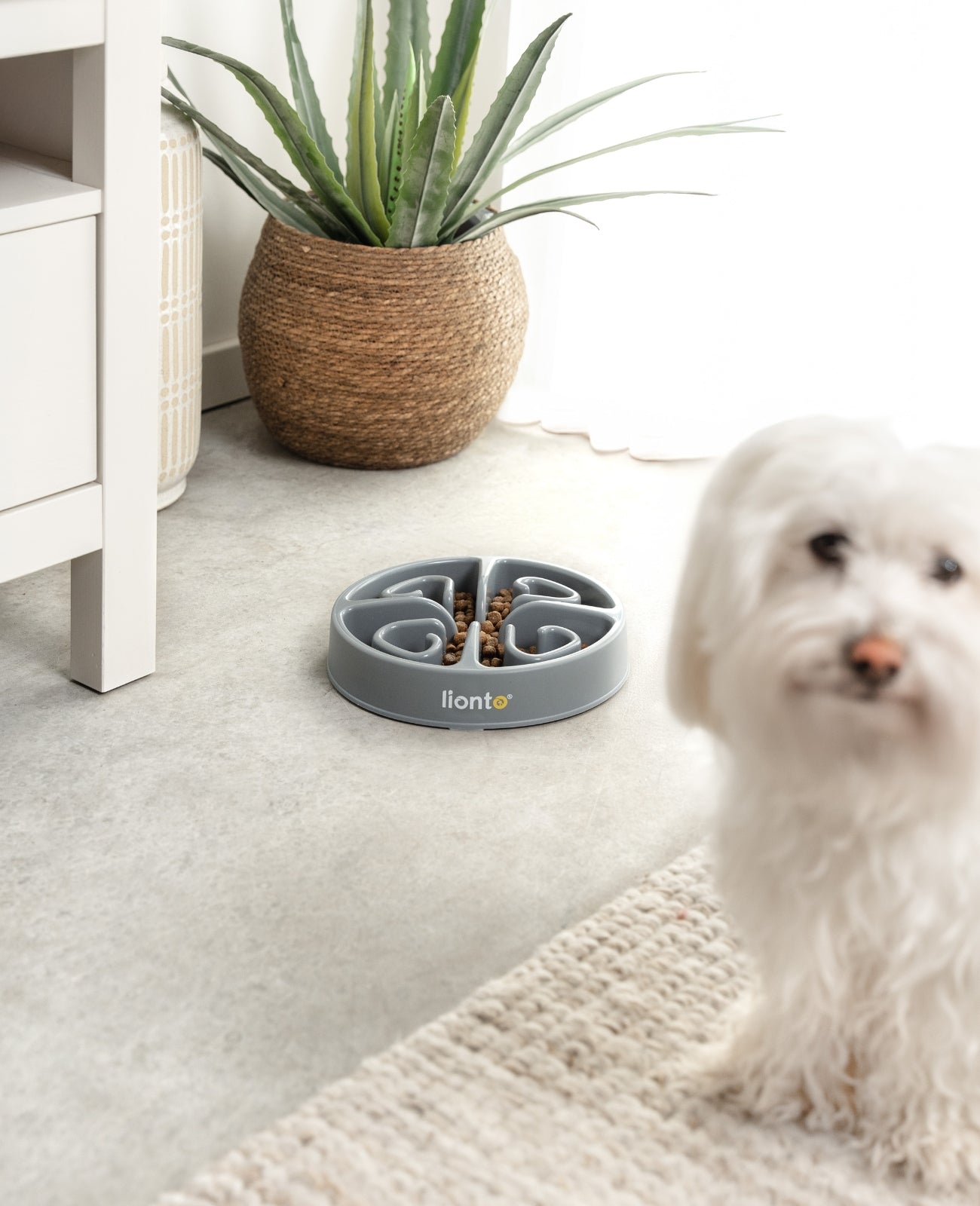 Antischlingnapf, verschiedene Varianten