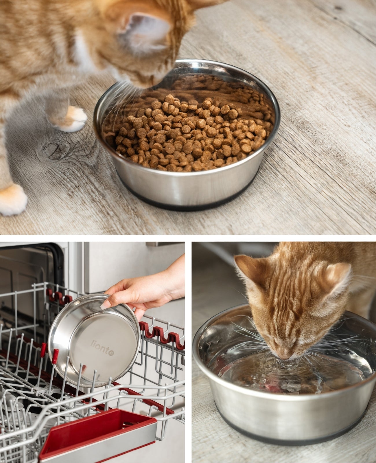 Katzennapf aus Edelstahl, rutschfest