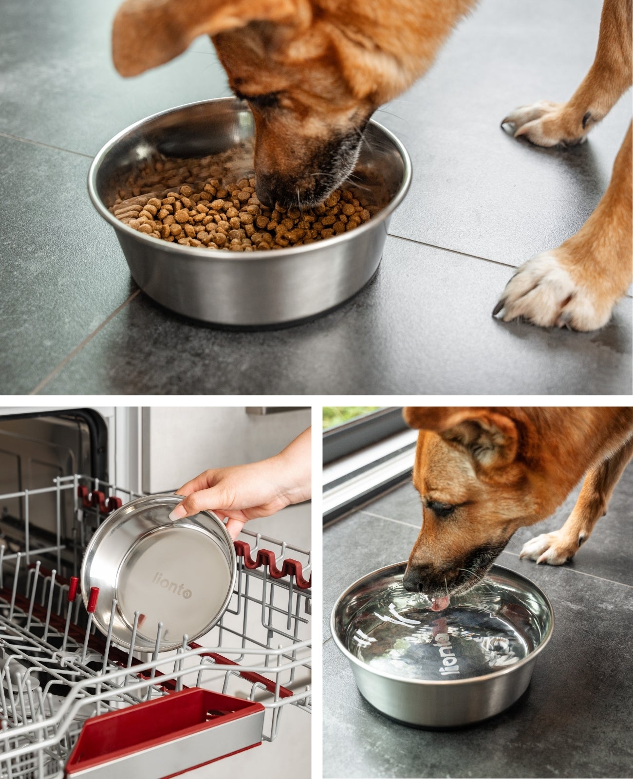 Hundenapf aus Edelstahl, rutschfest