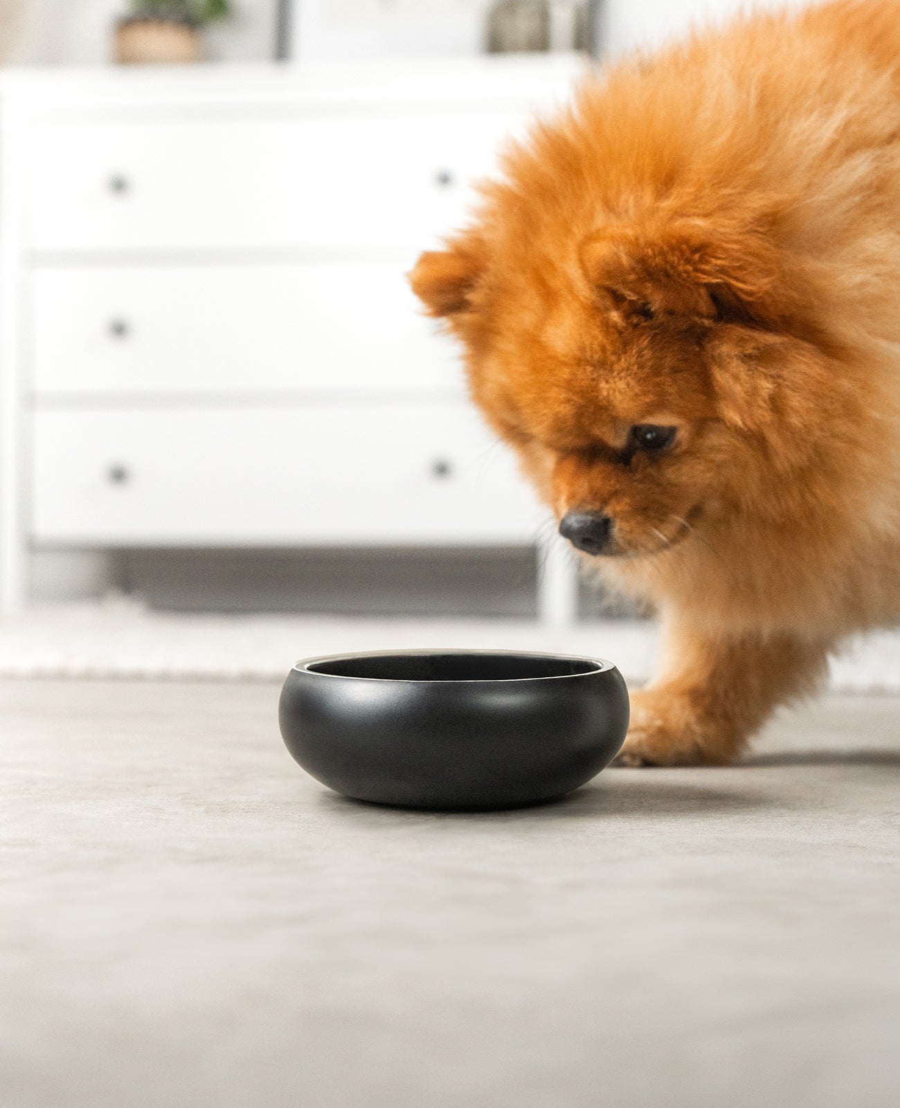 Napf aus Edelstahl, gewölbt