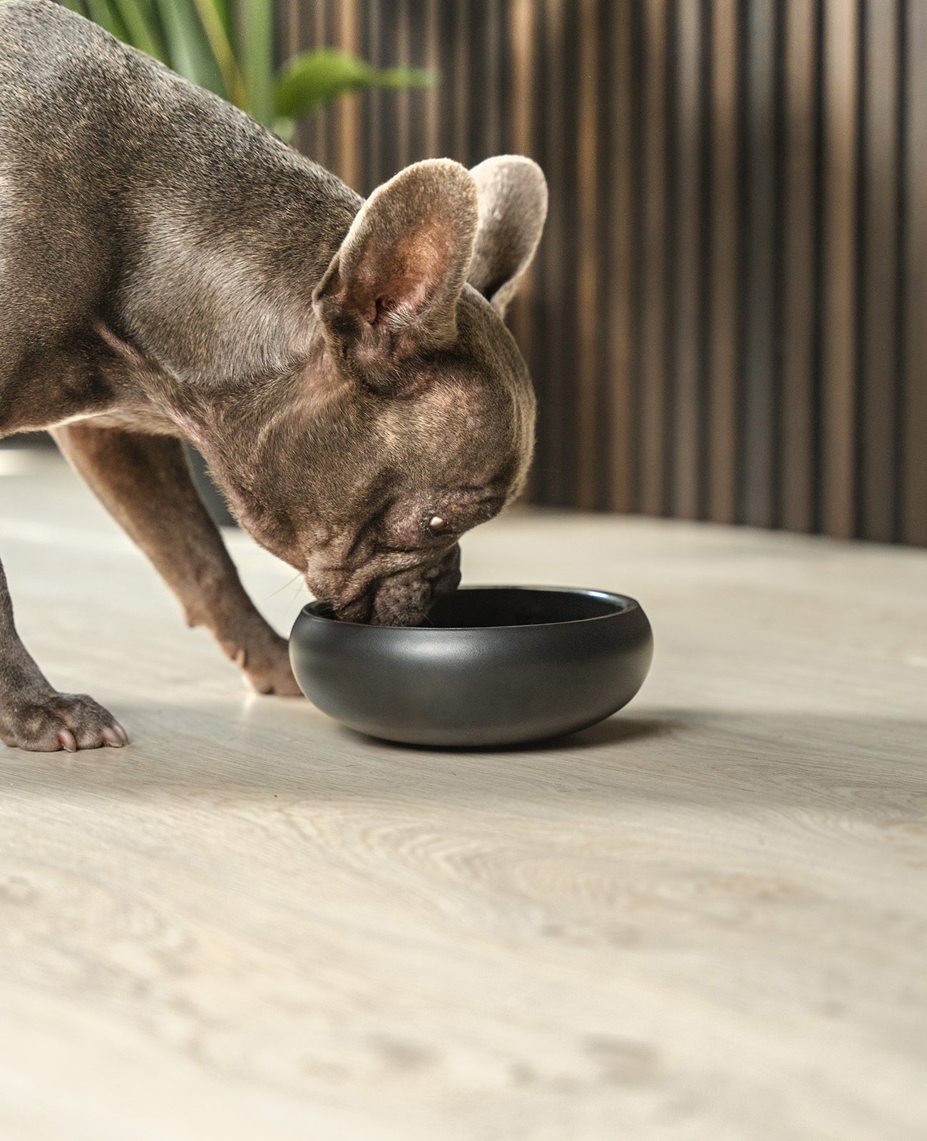 Napf aus Edelstahl, gewölbt