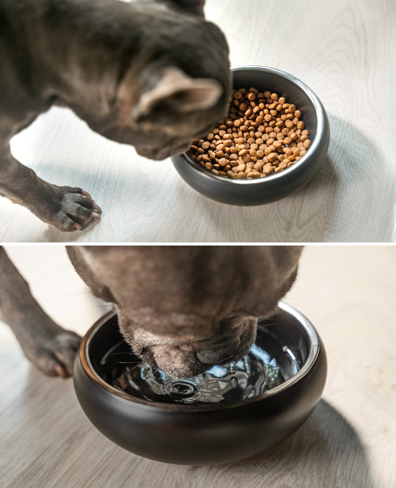 Napf aus Edelstahl, gewölbt