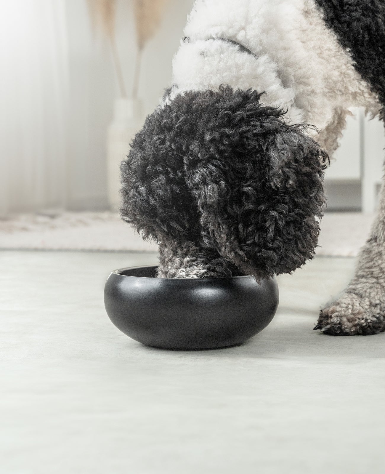 Napf aus Edelstahl, gewölbt