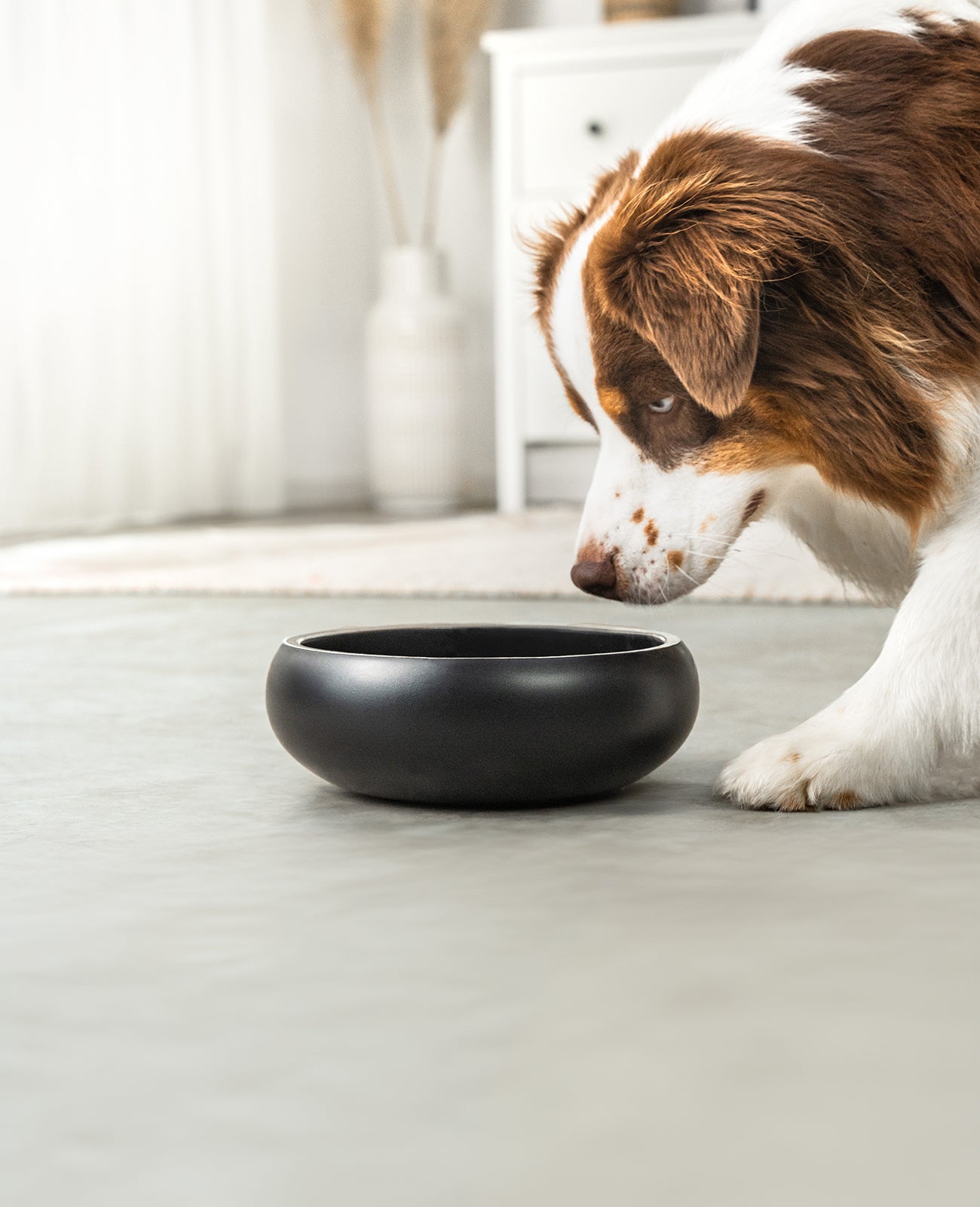 Napf aus Edelstahl, gewölbt